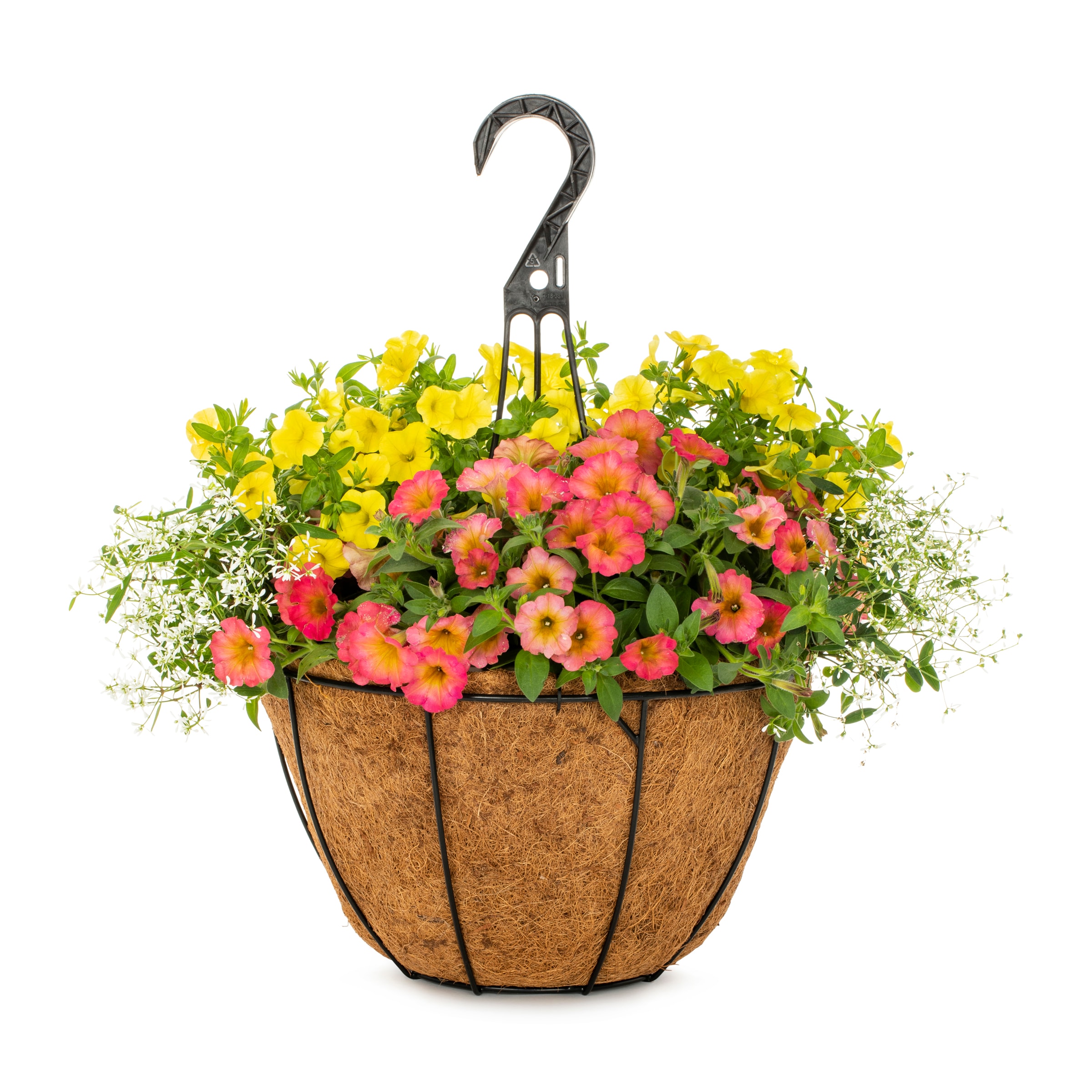 Lowe's Multicolor Mixed Annuals in 2-Gallon Hanging Basket in the ...