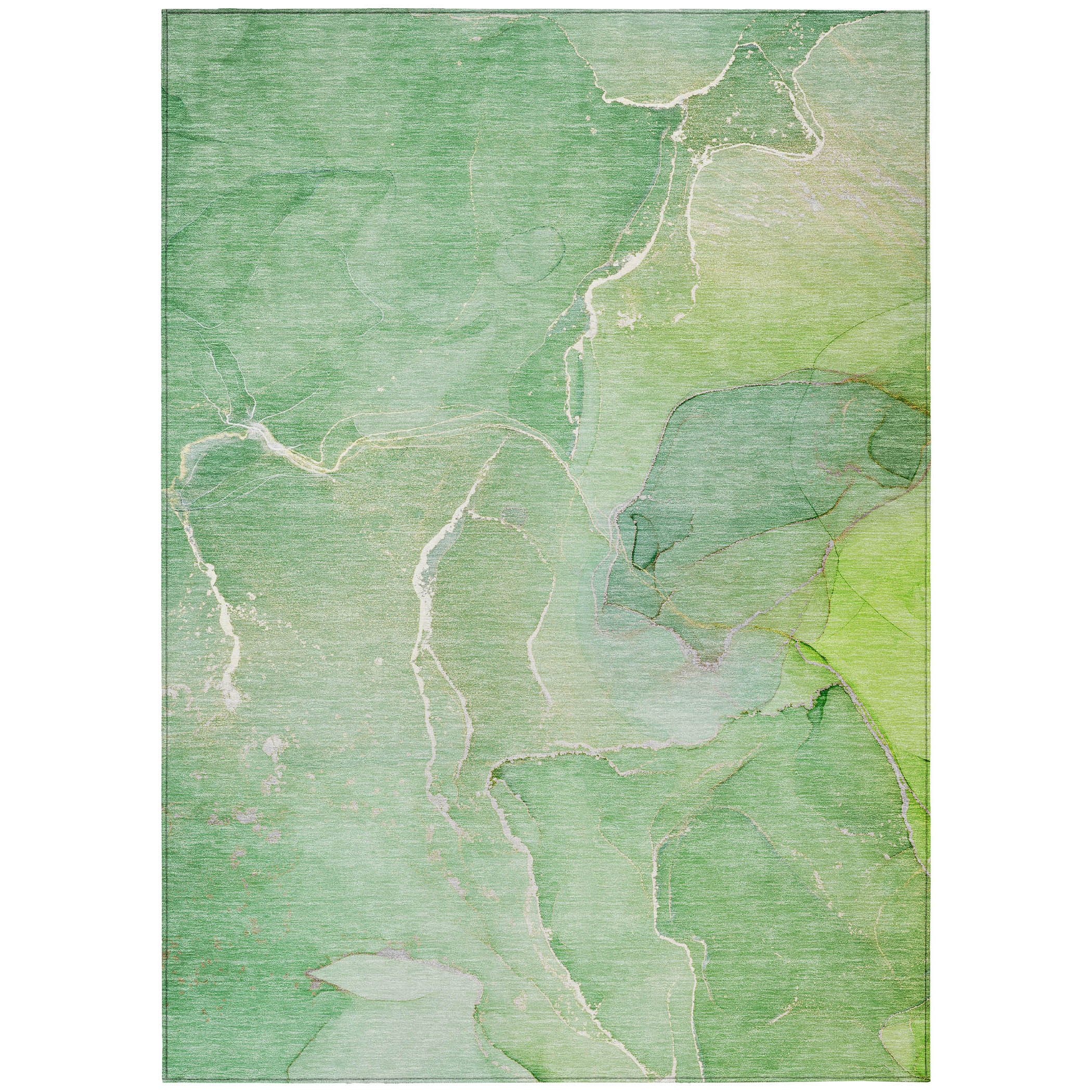 Addison Rugs ACN511GE30X46 rugs - View #2
