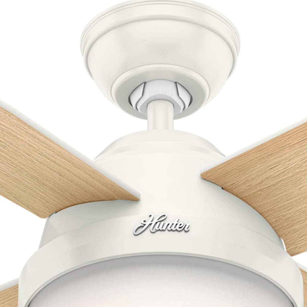 Hunter 59217 Ceiling-Fans - View #15