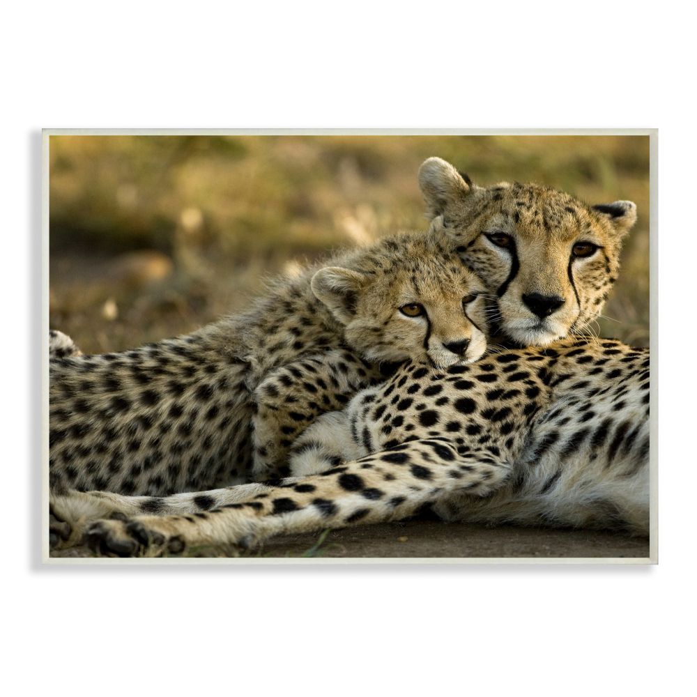 a&b home premium quality resin cheetah