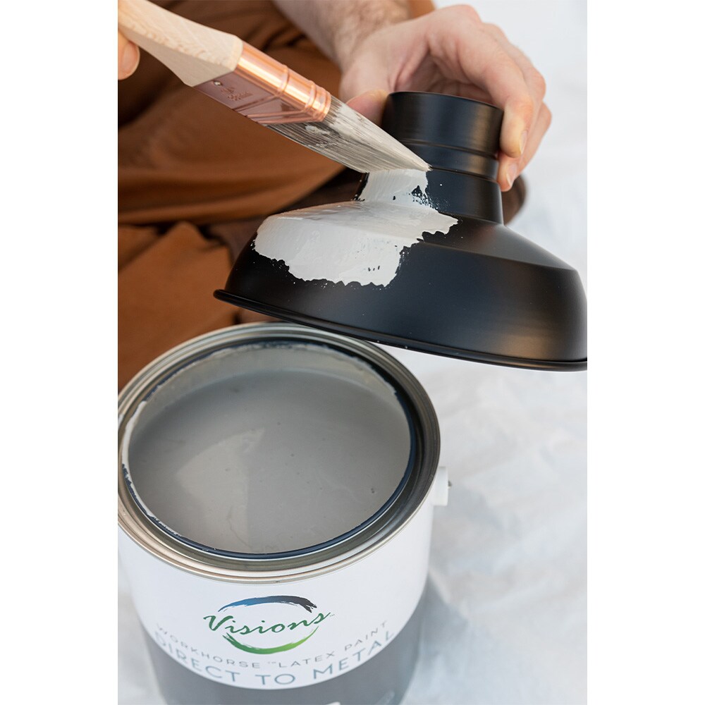 Visions - Workhorse Interior/ Exterior Paint, 1 Gallon Latex Paint, Excellent Coverage, Environmentally Preferred