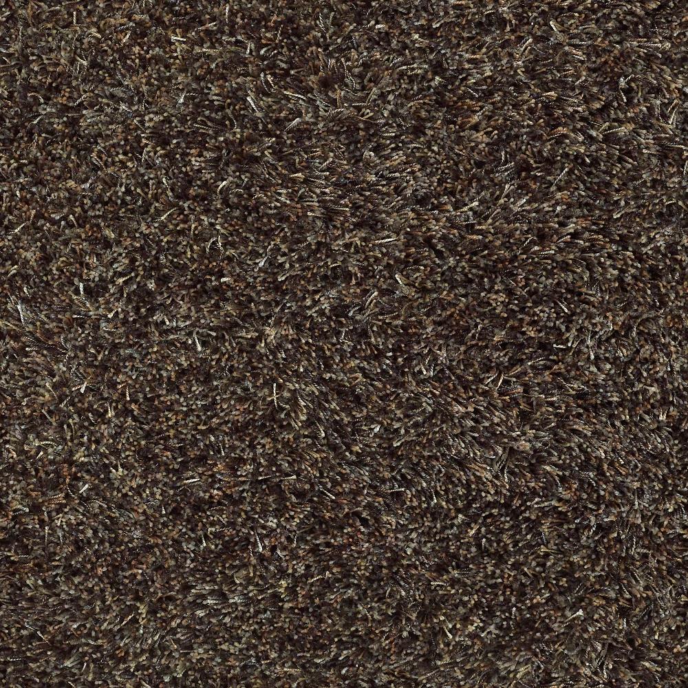 STAINMASTER S896775PLETHORA-1613 (Sample) Essentials Affluence Plethora Shag/Frieze Carpet