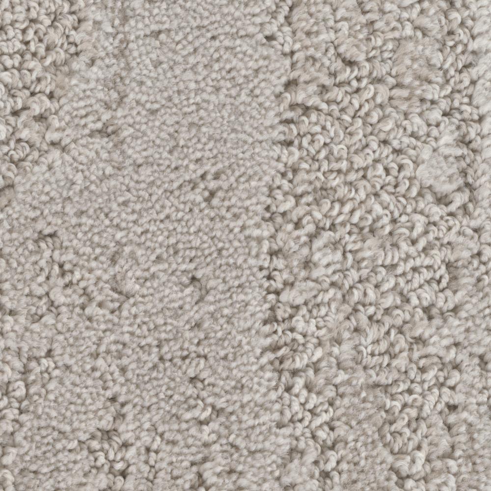 STAINMASTER S7540-103-1200-AB LiveWell Prevalent Moderate Pattern Indoor Carpet
