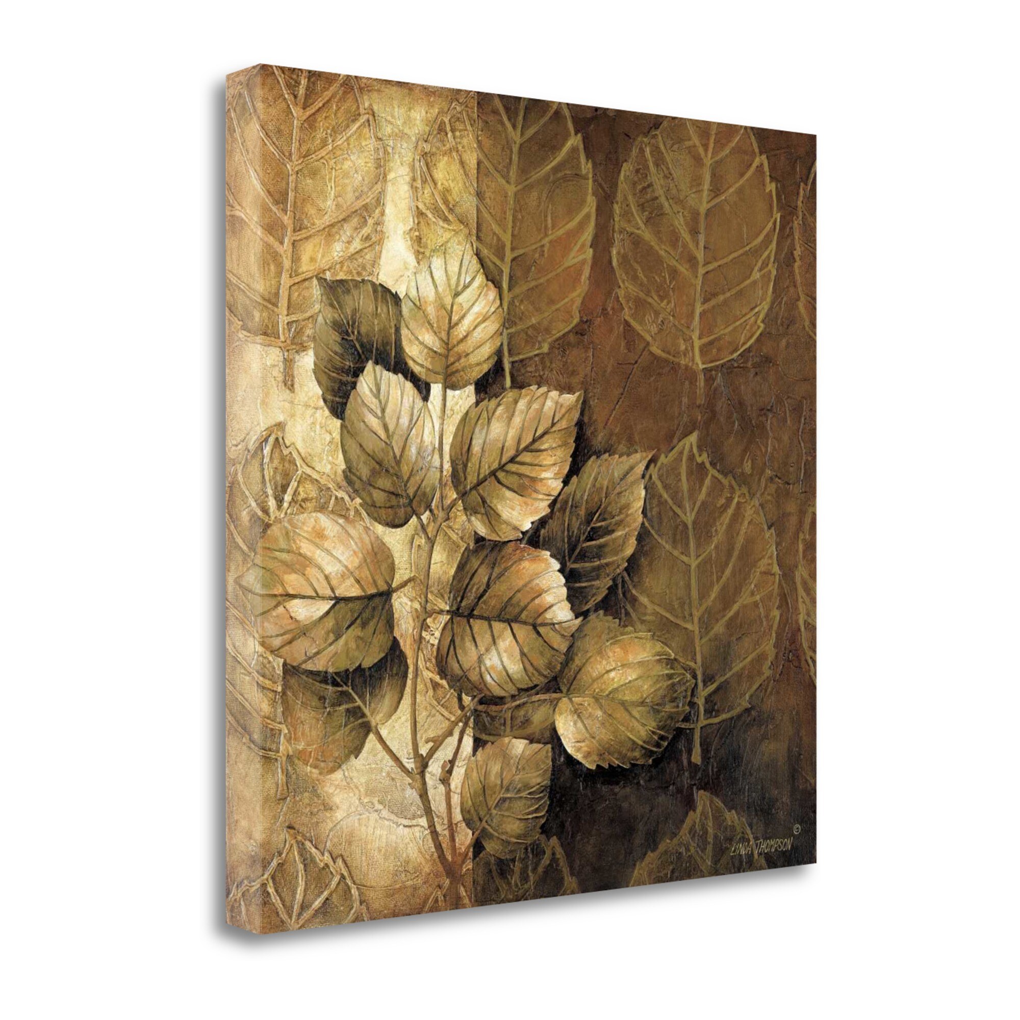 Tangletown Fine Art CA305370-2222C Leaf Patterns Iii Linda Thompson 22-in H x 22-in W Floral Print on Canvas