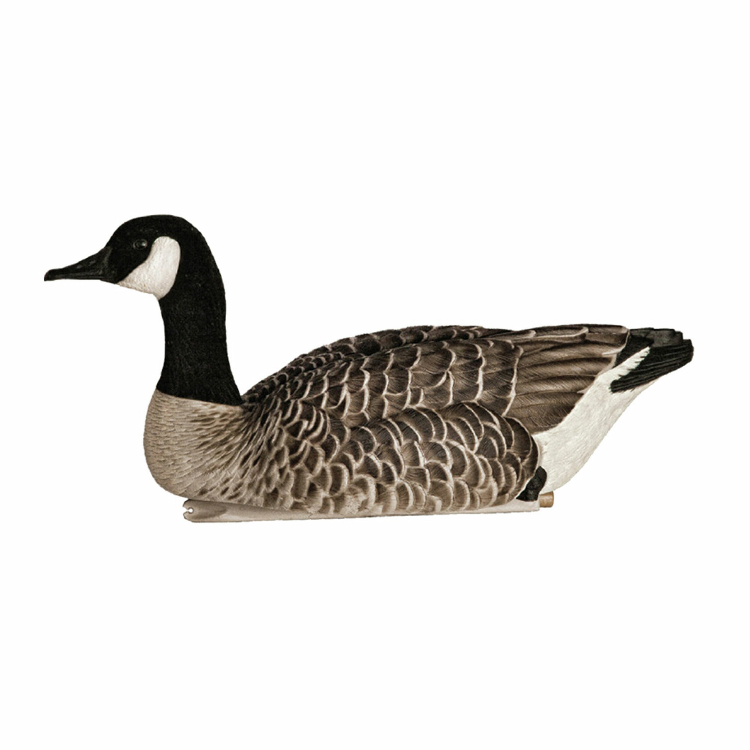  Avian X 408523 Hunting-Equipment - View #11