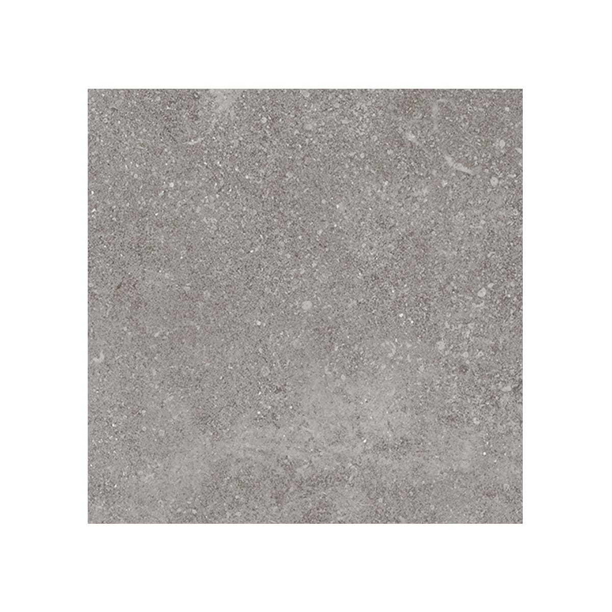 Giorbello G8503-SMPL Sample- Ambience Natural Gray 24-in x 24-in Matte Porcelain Stone Look Floor and Wall Tile