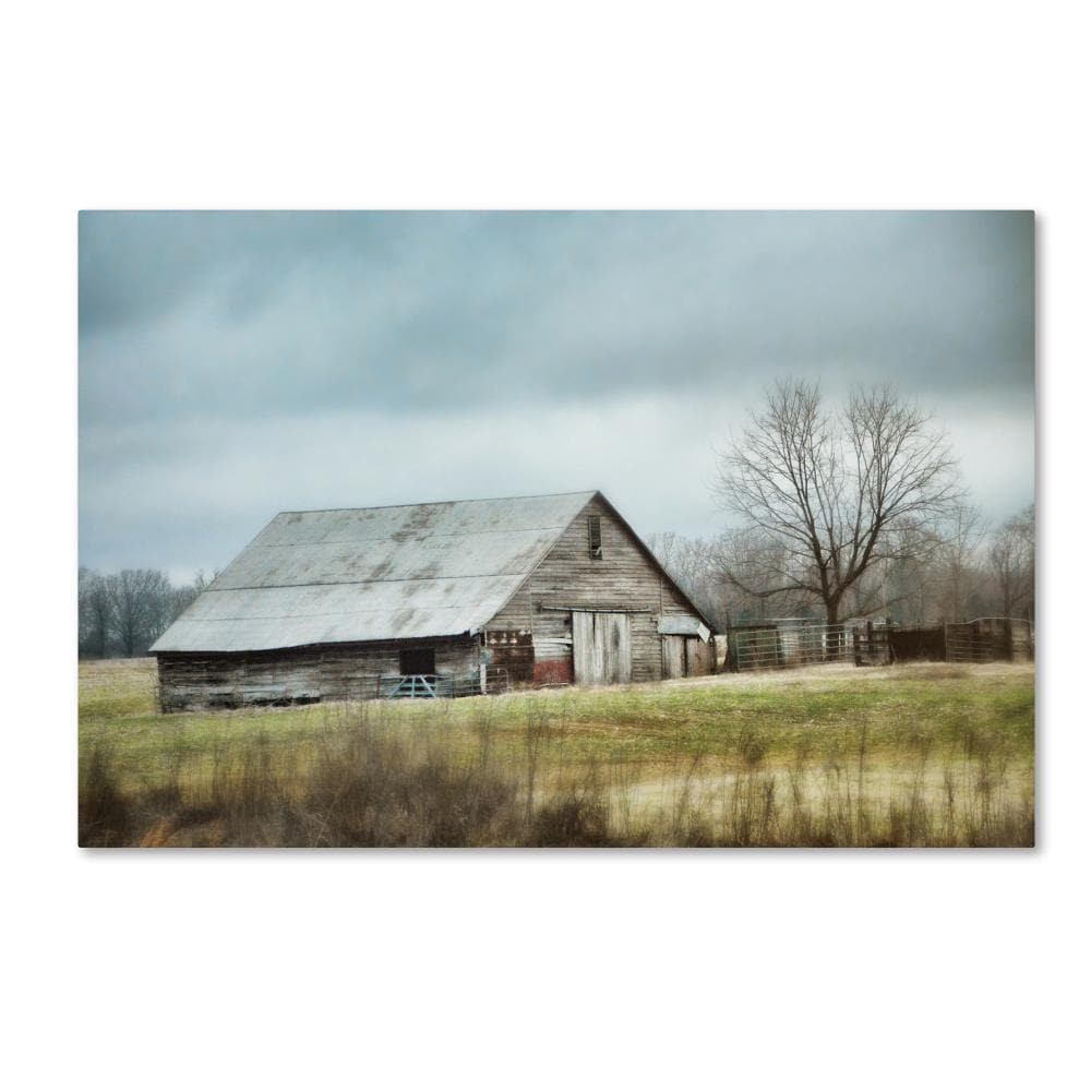 Trademark Fine Art ALI14246-C1624GG Wall-Art - View #2