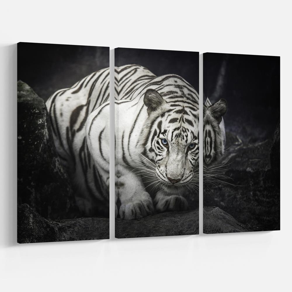 Designart 28-in H x 36-in W Animals Print on Canvas at Lowes.com