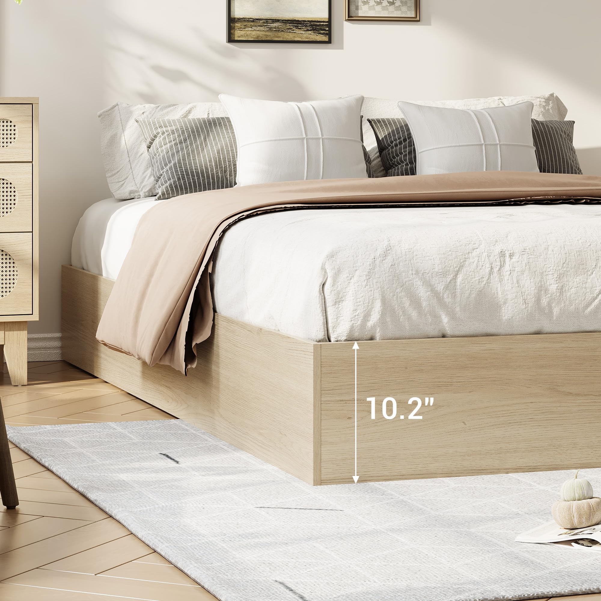 Assile YZM-828753173860 beds - View #3