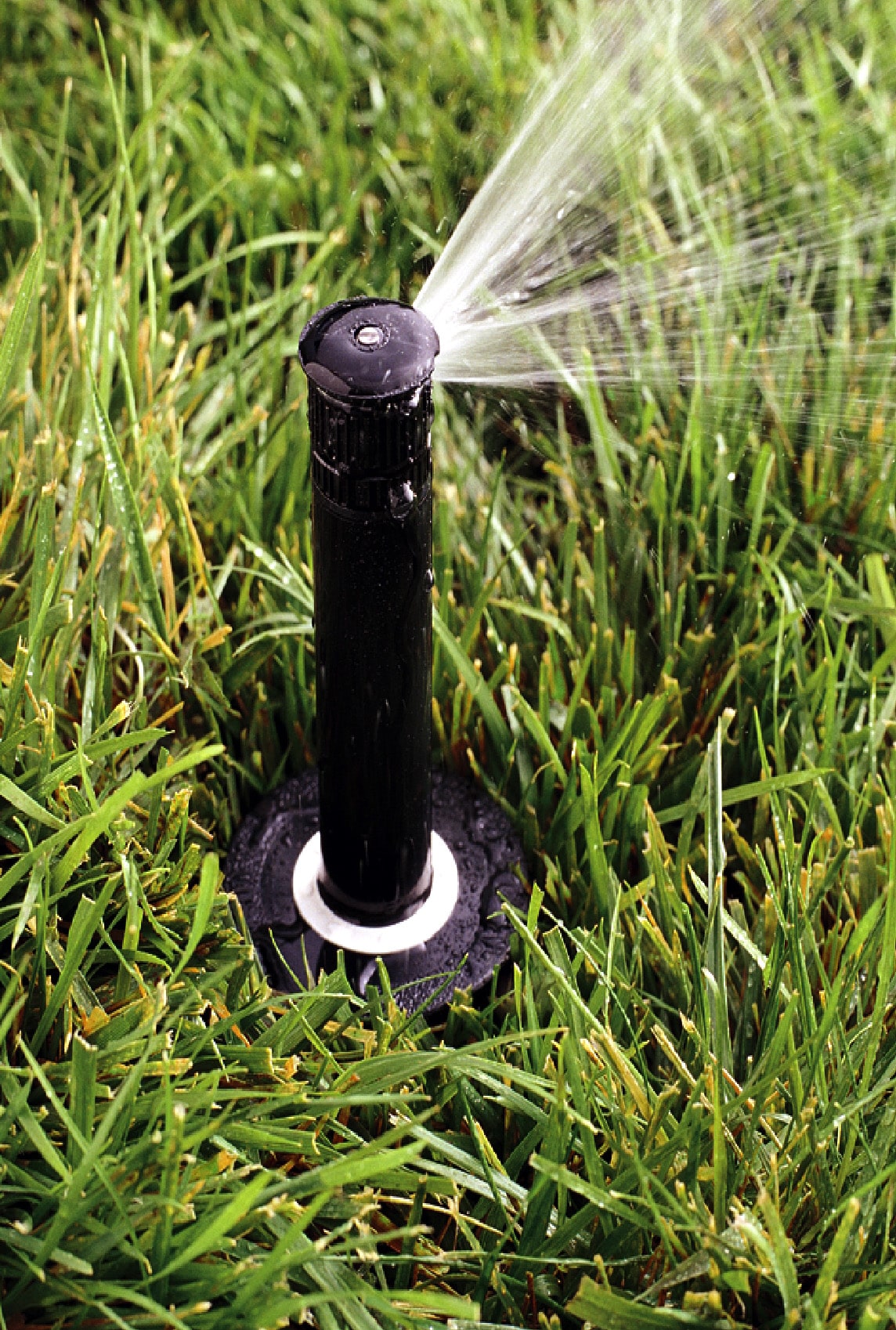 Rain Bird 8-ft -15-ft Quarter-circle Spray 4-in Pop-up Spray Head ...