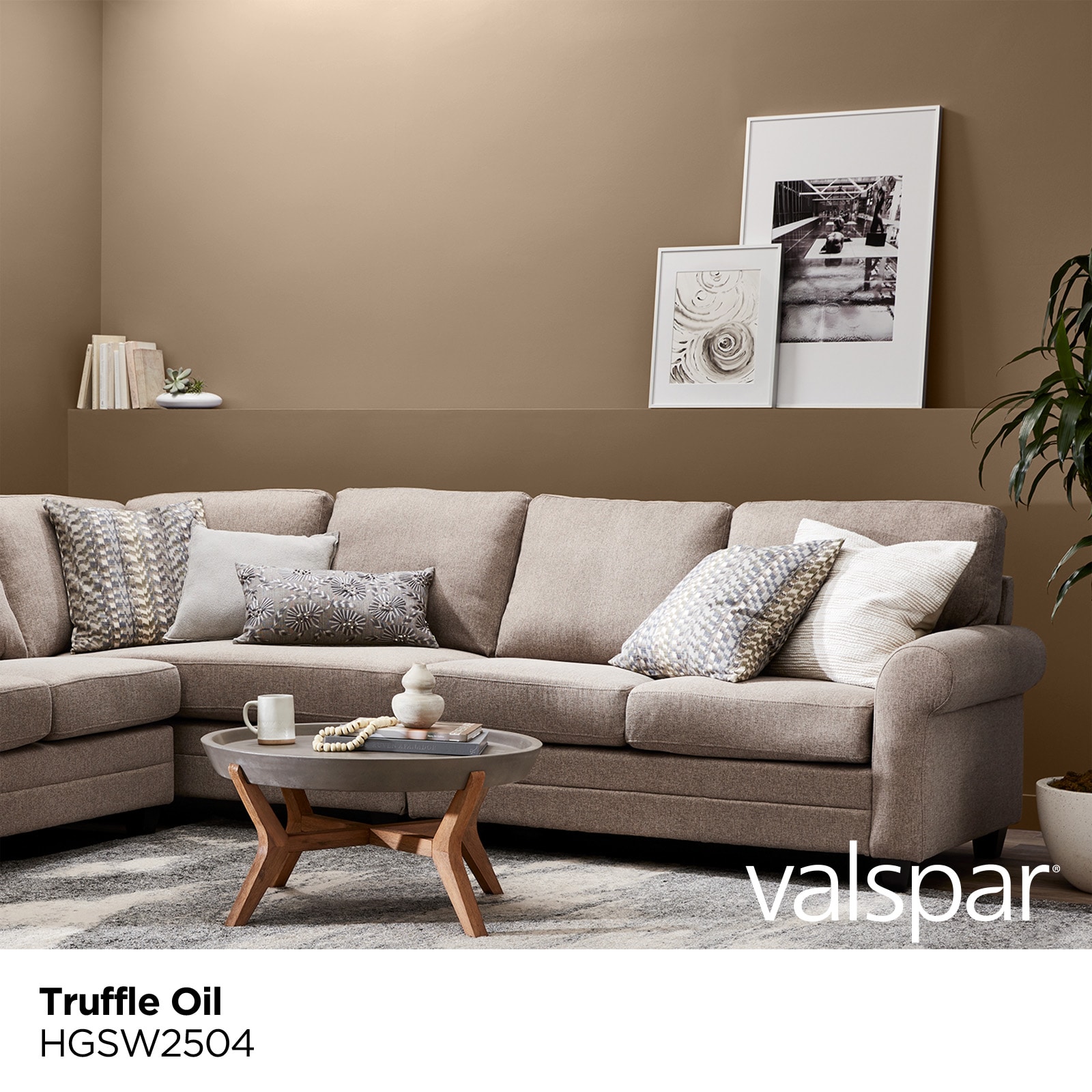 Valspar HGSW2504-773978 Int-Ext-Paint - View #2