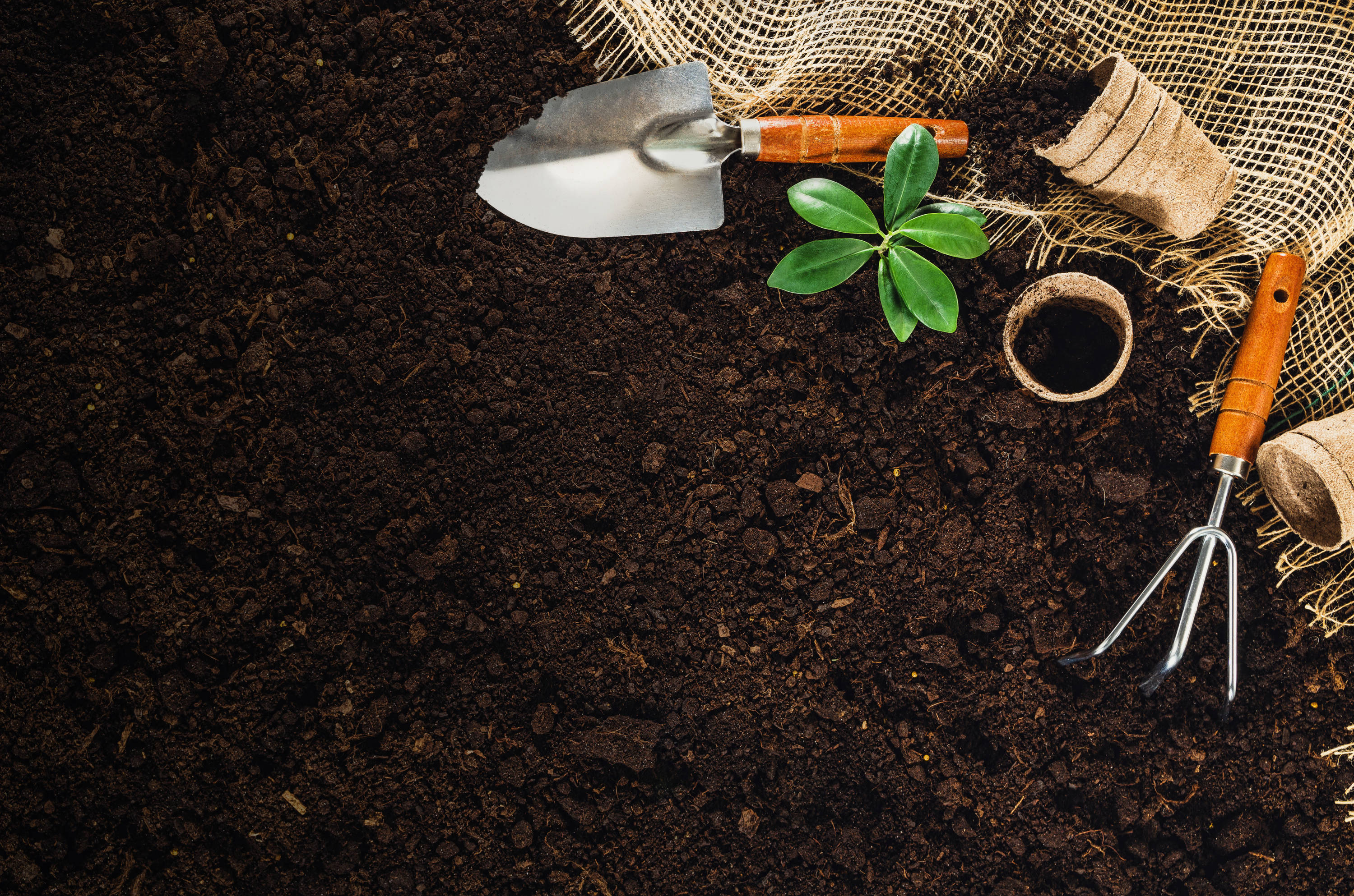 Timberline 50055077 Garden-Soil-Soil-Amendments - View #5