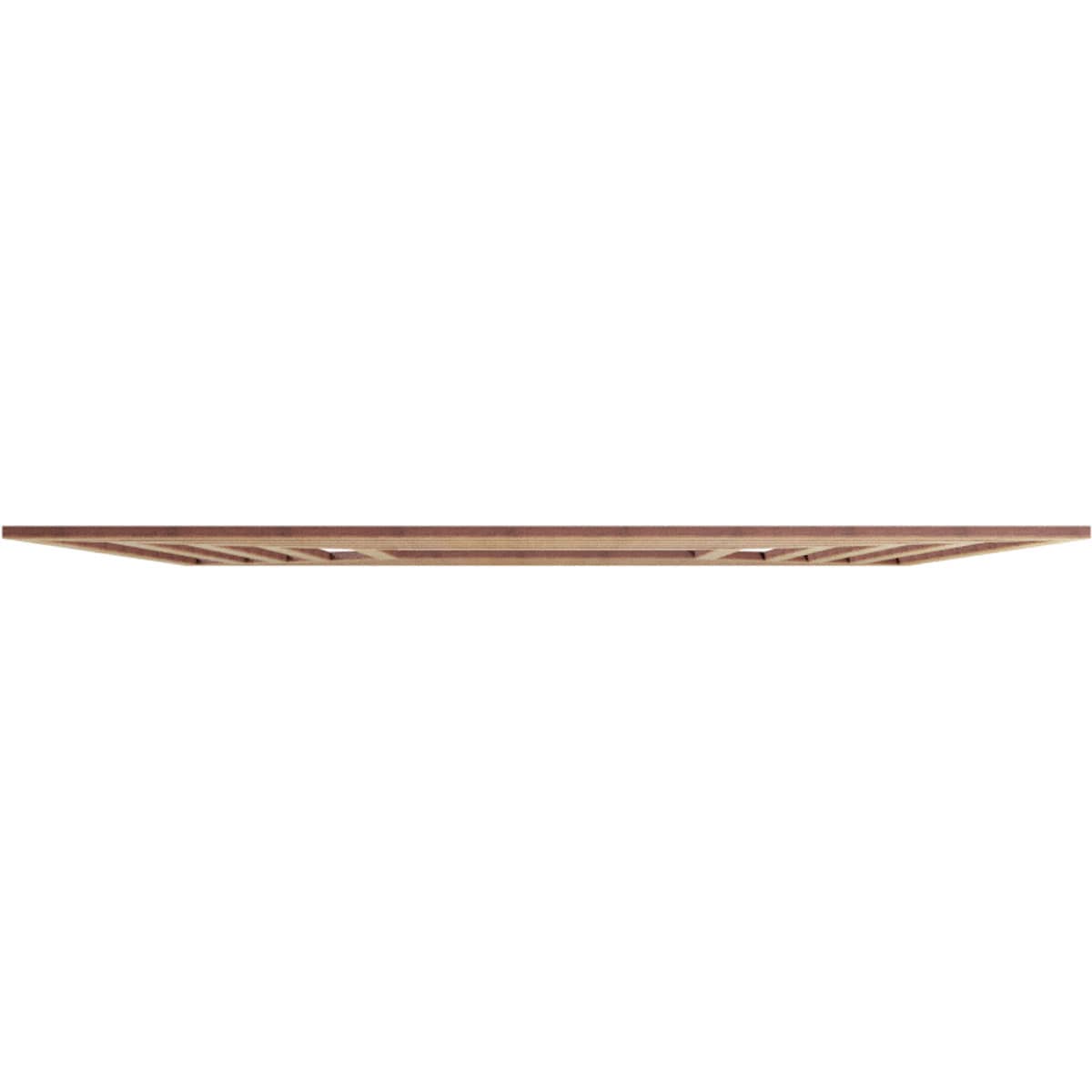 Ekena Millwork CMWP22X22X0250RAHI Ceiling-Medallions - View #3