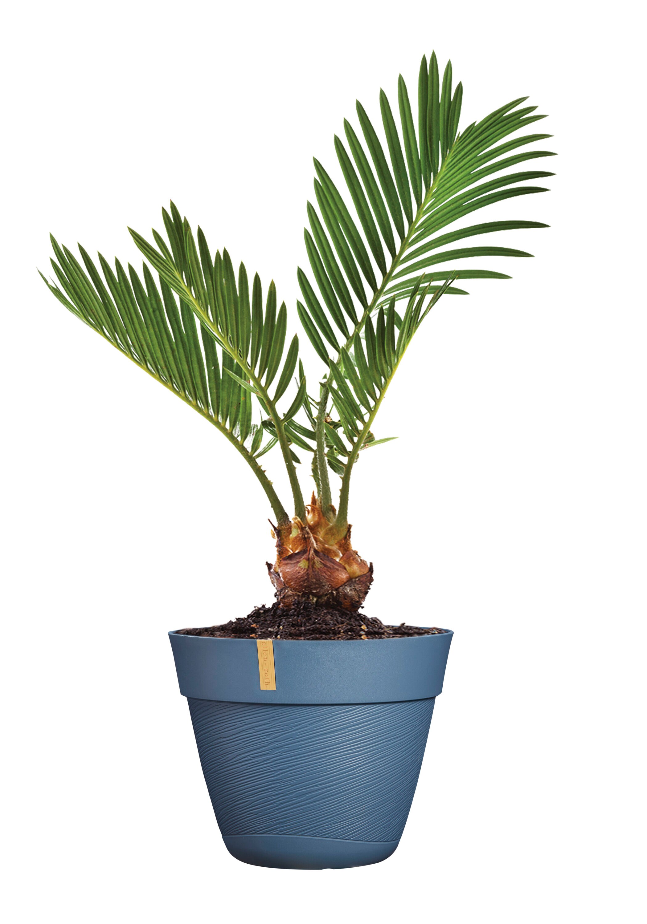 allen + roth US914G95 Planter-Window-Box - View #10