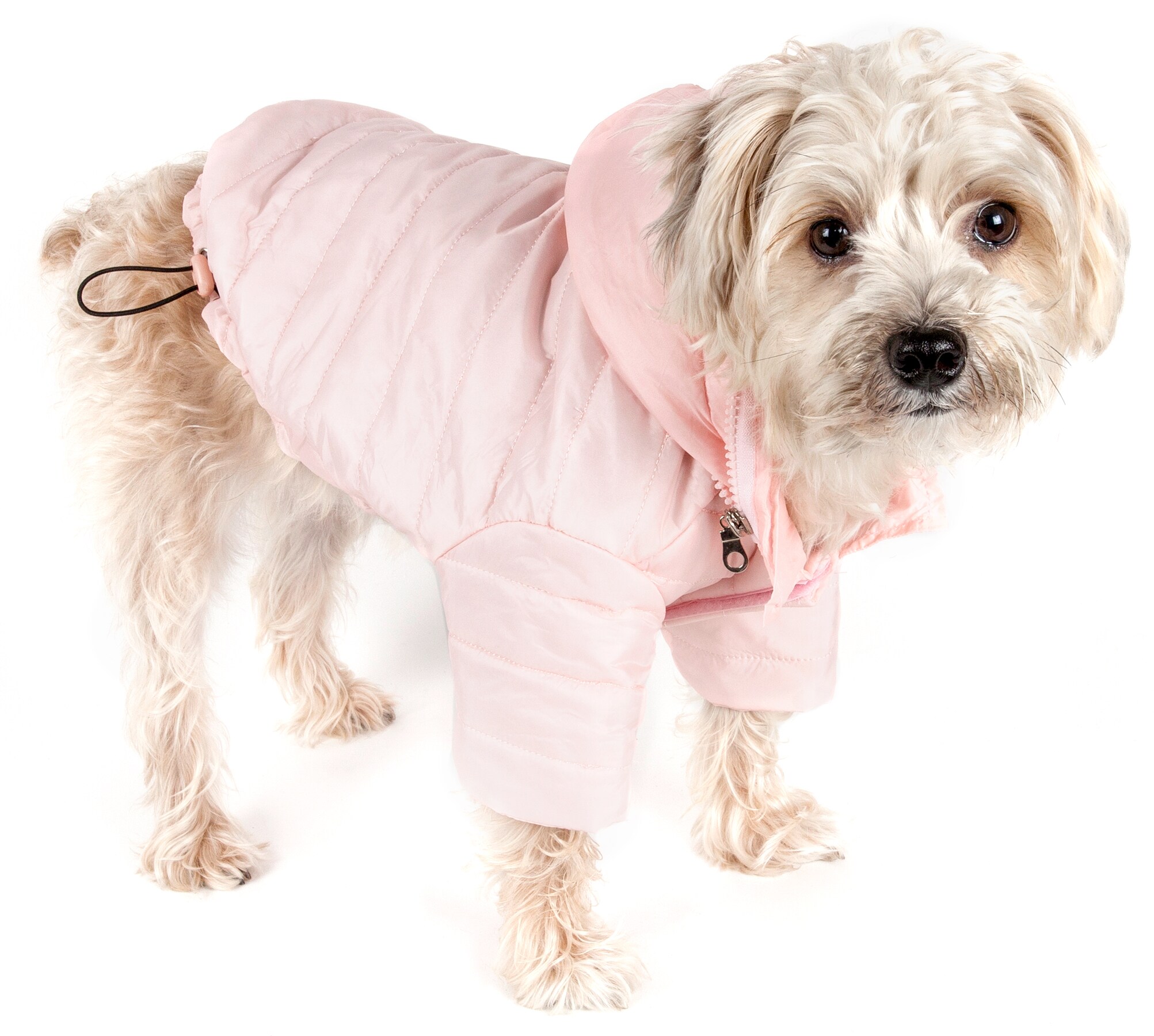 Pet Life 30PKLG Dog-Apparel - View #4