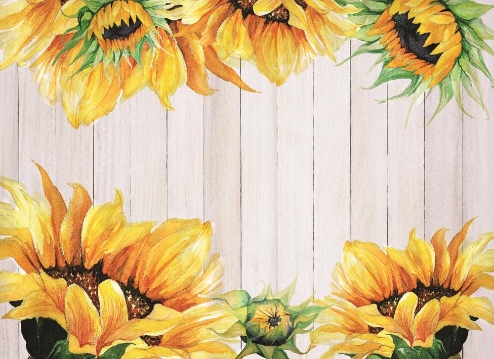 MHF Home M620751  4-pack Placemats 4-Pack Multi PVC Rectangle Placemats