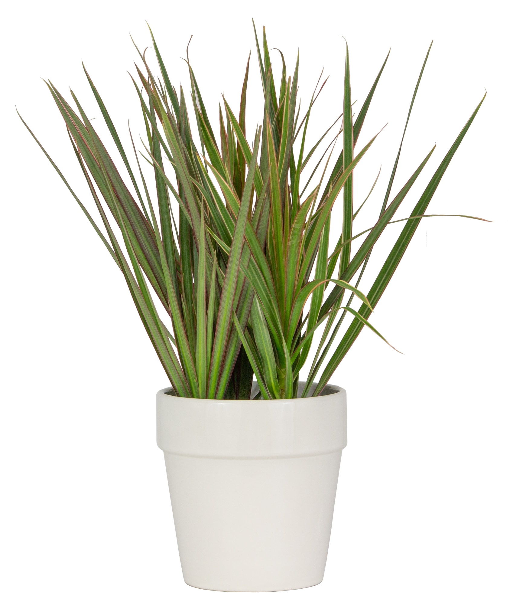 allen + roth CR10168-07E Planter-Window-Box - View #3