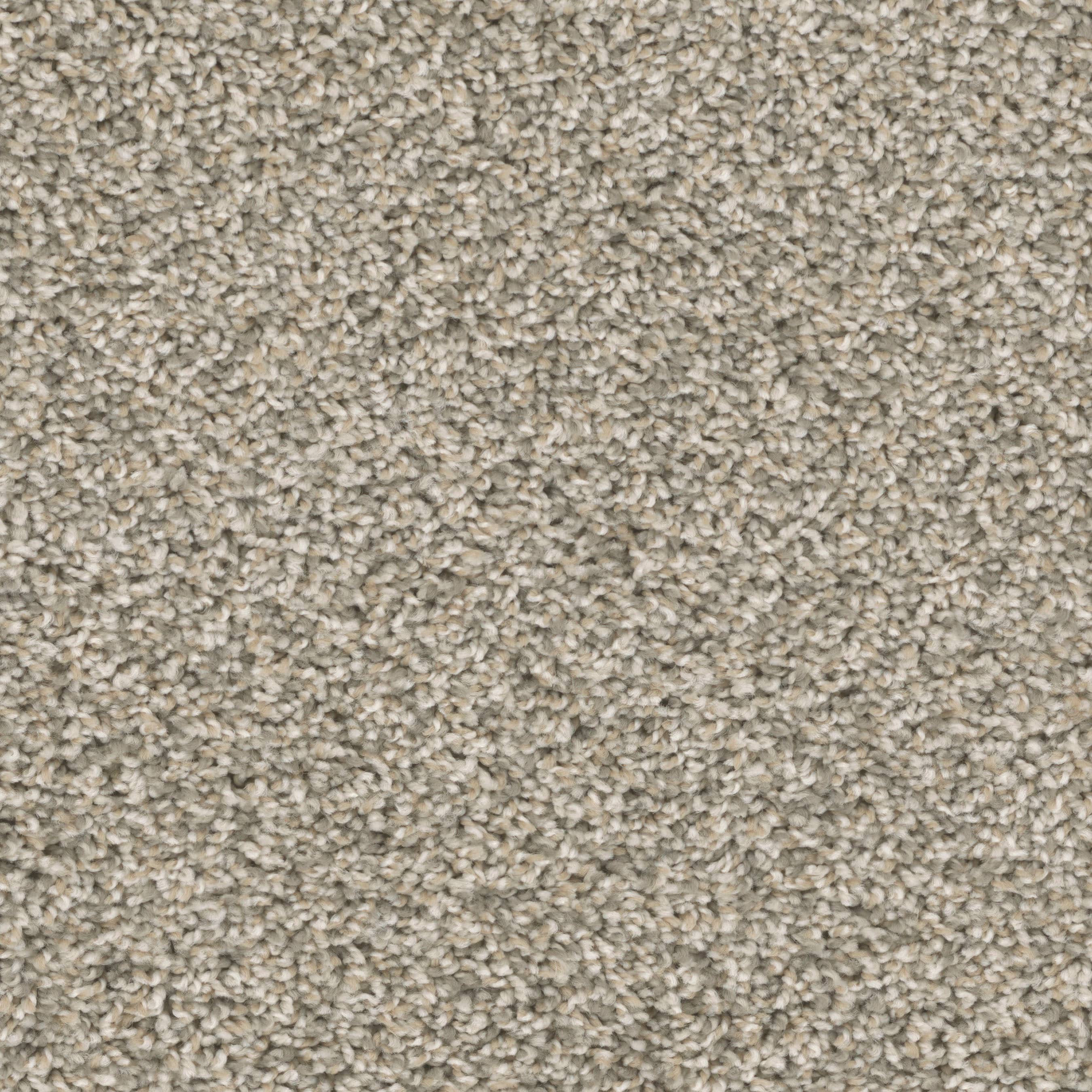 STAINMASTER PetProtect S2342-102-1200-MO Comet Eclipse Multi-Colored 42-oz sq yard Nylon Textured Indoor Carpet