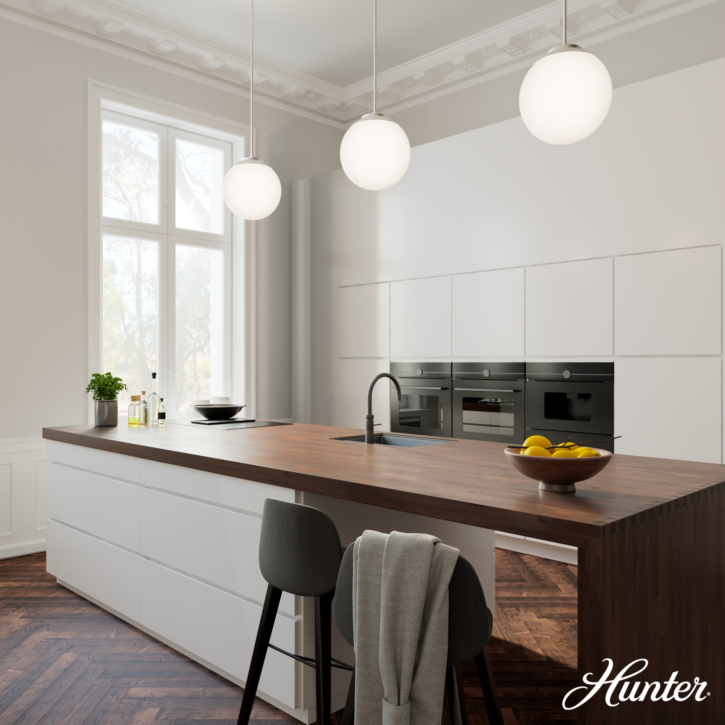 Hunter 19848 Pendant-Lights - View #2