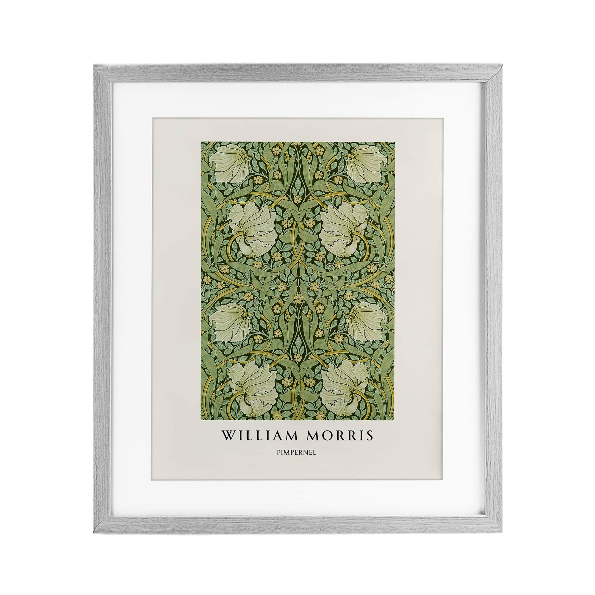 Stupell Industries BZ-304-MFG-17X21 William Morris Symmetrical Pimpernel Gray Framed Print Under Glass 17 x 21