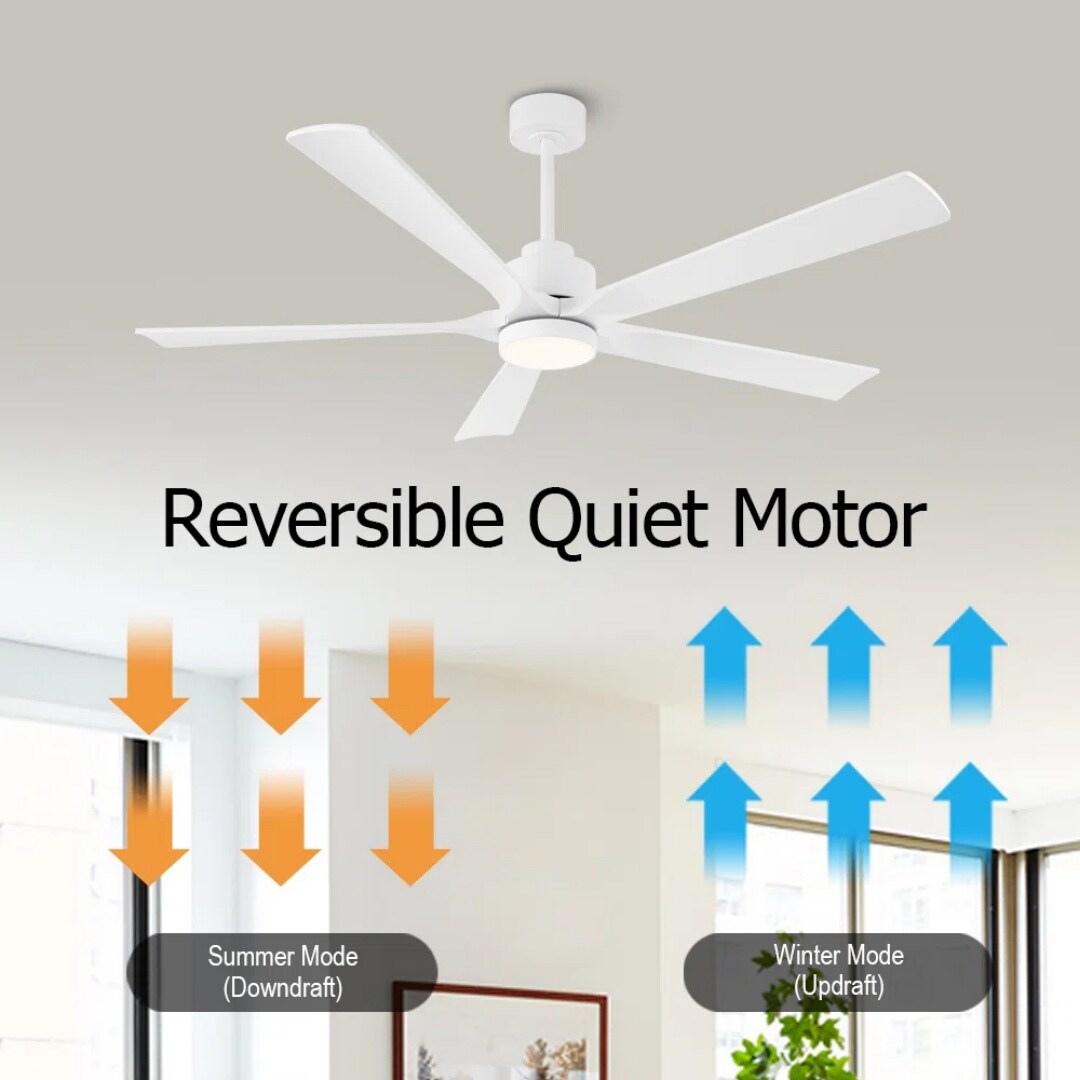 MLIAN WBCF-BS256-WH Ceiling-Fans - View #5