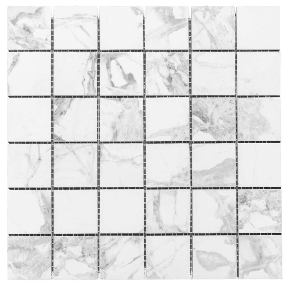 The Tile Life Sample - Pent House White 4-in x 4-in Glossy Porcelain Stone look Floor and Wall Tile #SPREX0202GBMO