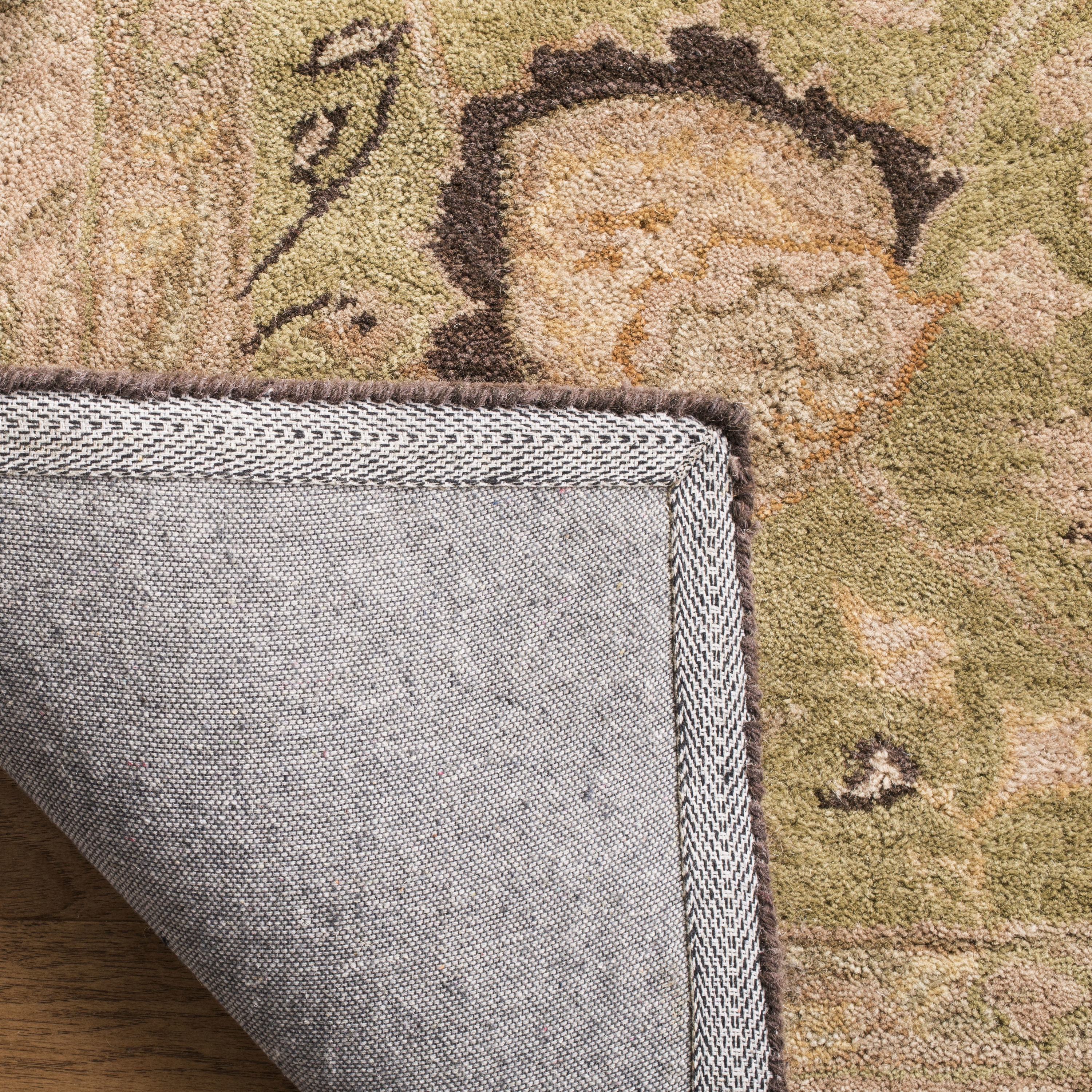 Safavieh AN512C-212 rugs - View #4