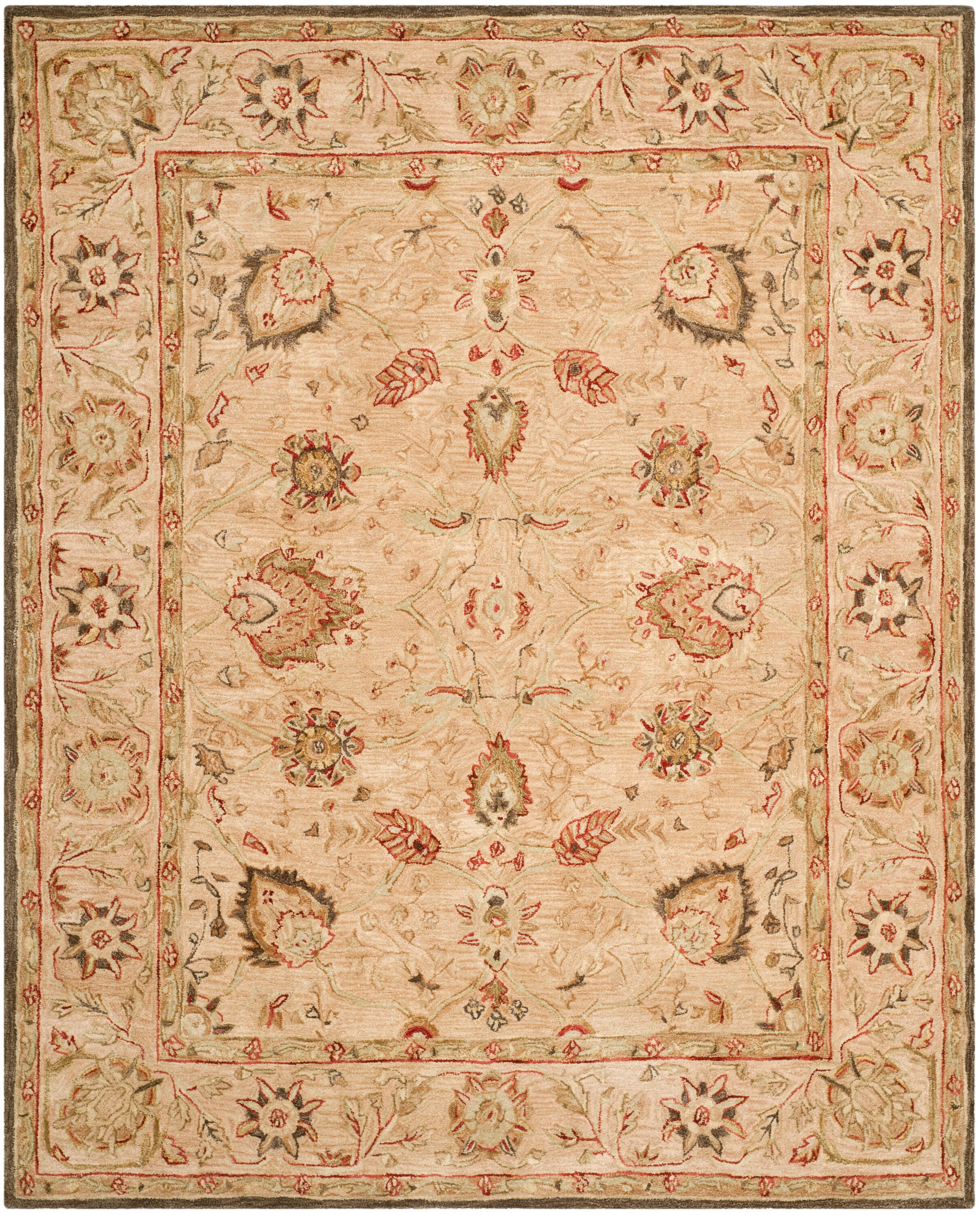 Safavieh AN512A-9 rugs - View #2