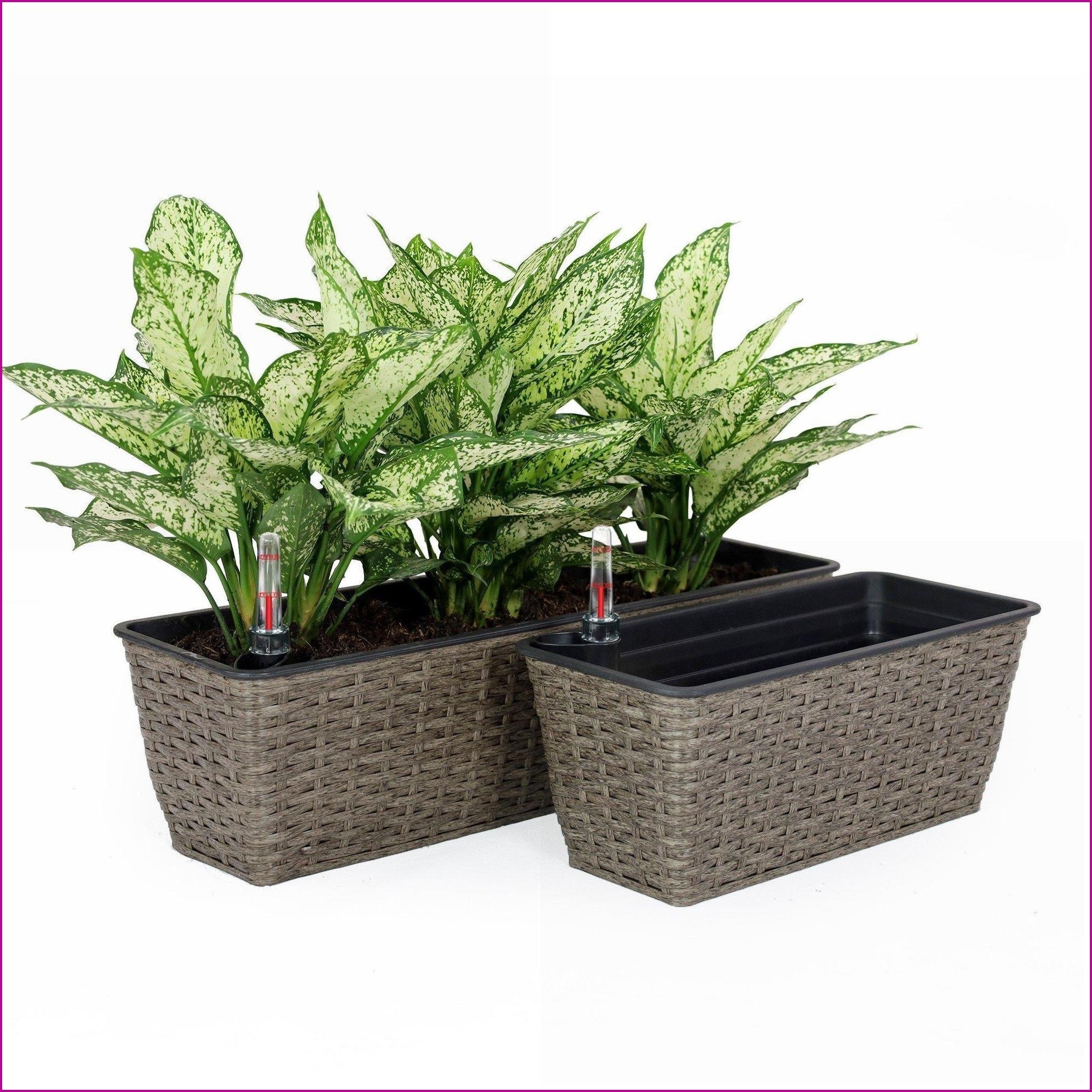 Watnature - Planter 2-Pack Self-Watering Hand Woven Wicker Planters for Indoor Outdoor Use Charco...