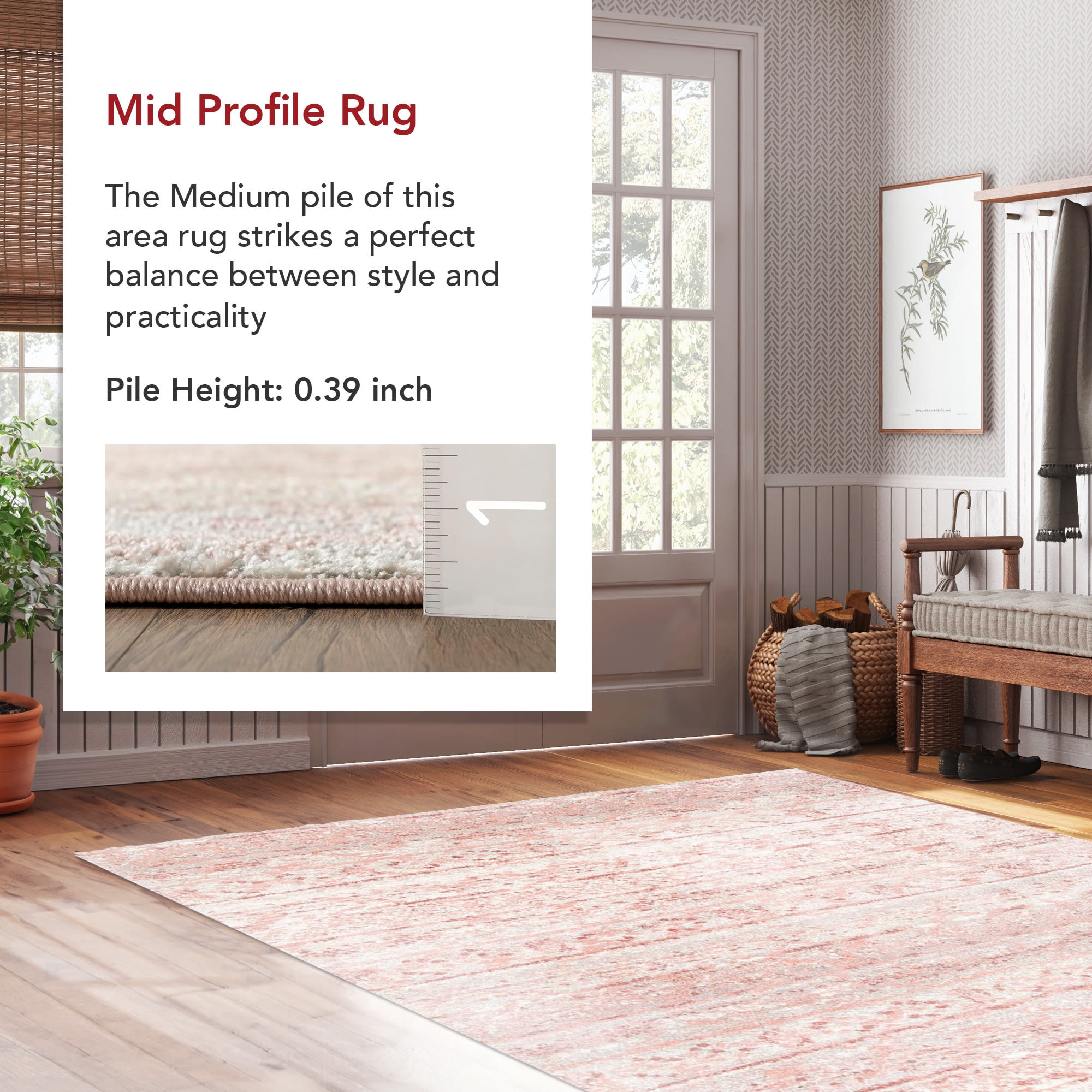 nuLOOM ACSD04A-305 rugs - View #3