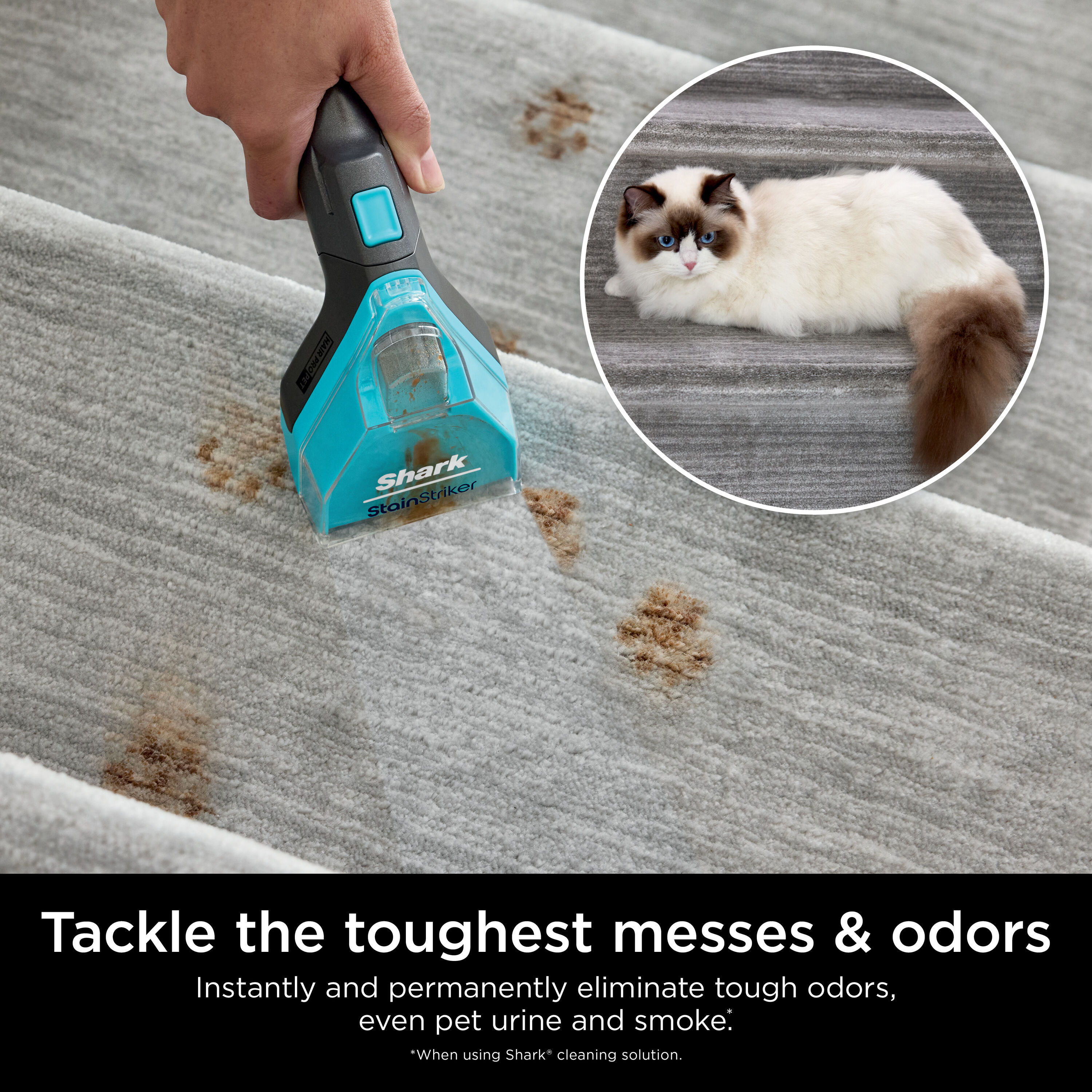 Shark EXOX32 Carpet-Cleaners - View #5