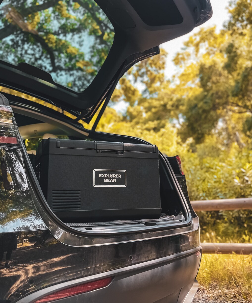 Explorer Bear EX50B-LG Portable-Coolers - View #14