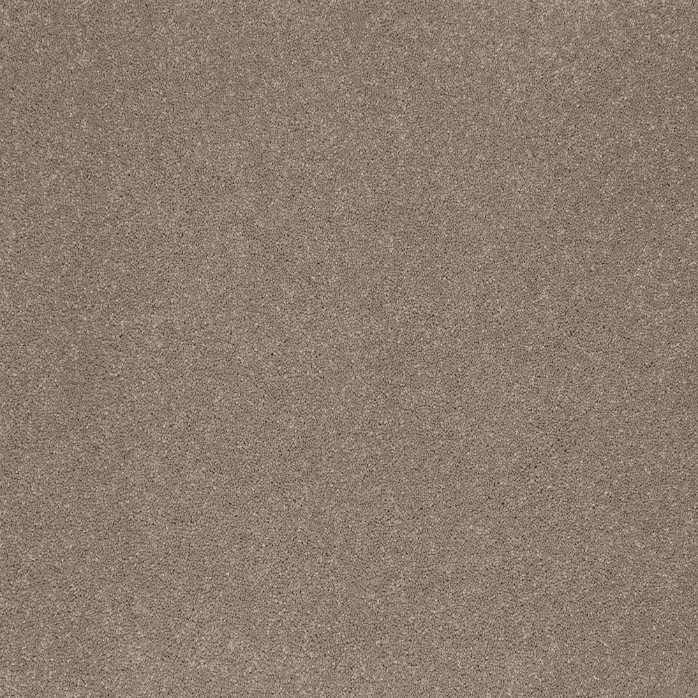 STAINMASTER SS030-L005-0808 (Sample) Rarefied Air II Vintage Brown 48-oz sq yard Solution-dyed polyester Textured Indoor Carpet
