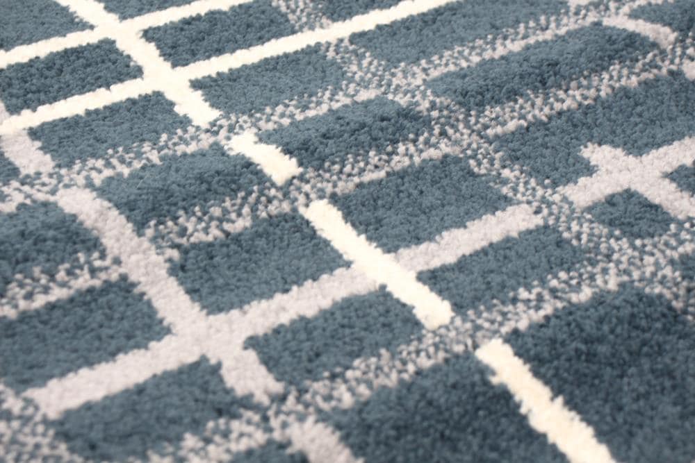 ECARPETGALLERY 315525 rugs - View #8