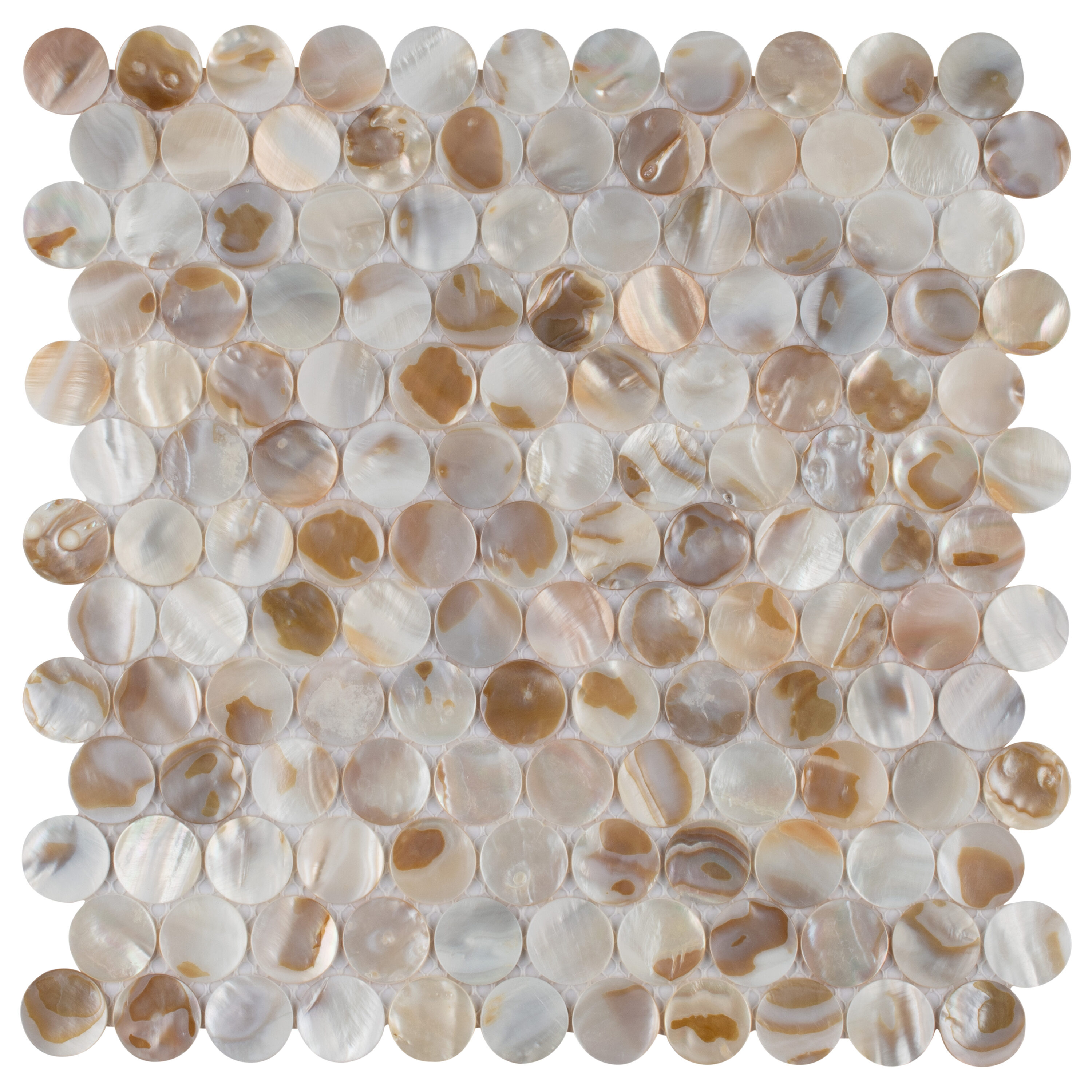 Affinity Tile S1GDXCPNN Sample - Conchella Penny Natural 6-in x 6-in Glossy Porcelain Wall Tile