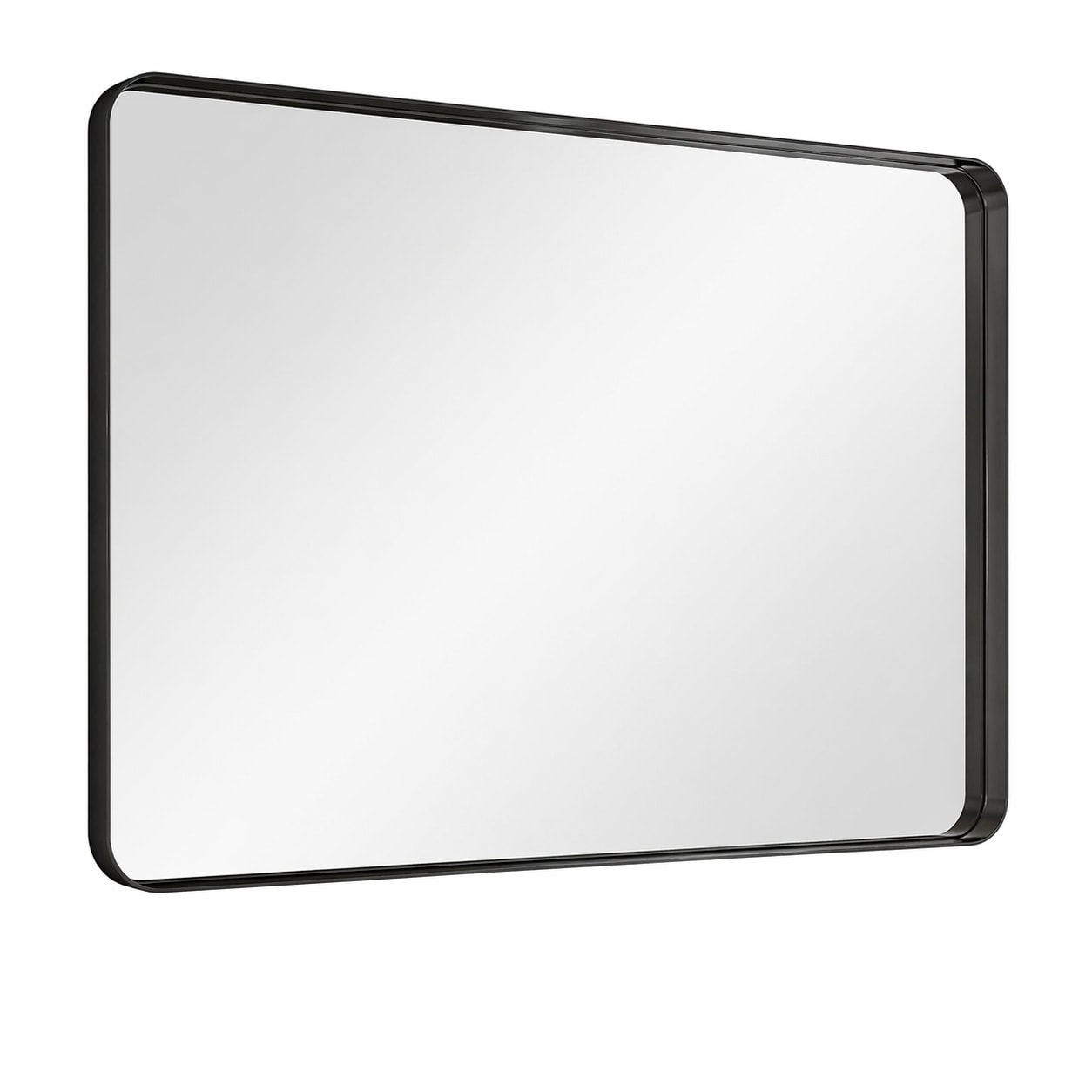Aoibox  30 in W x 48 in H Black Rounded Corner Deep Framed Wall Mirror for Bathroom Bedroom Living Room Hanging or Leaning