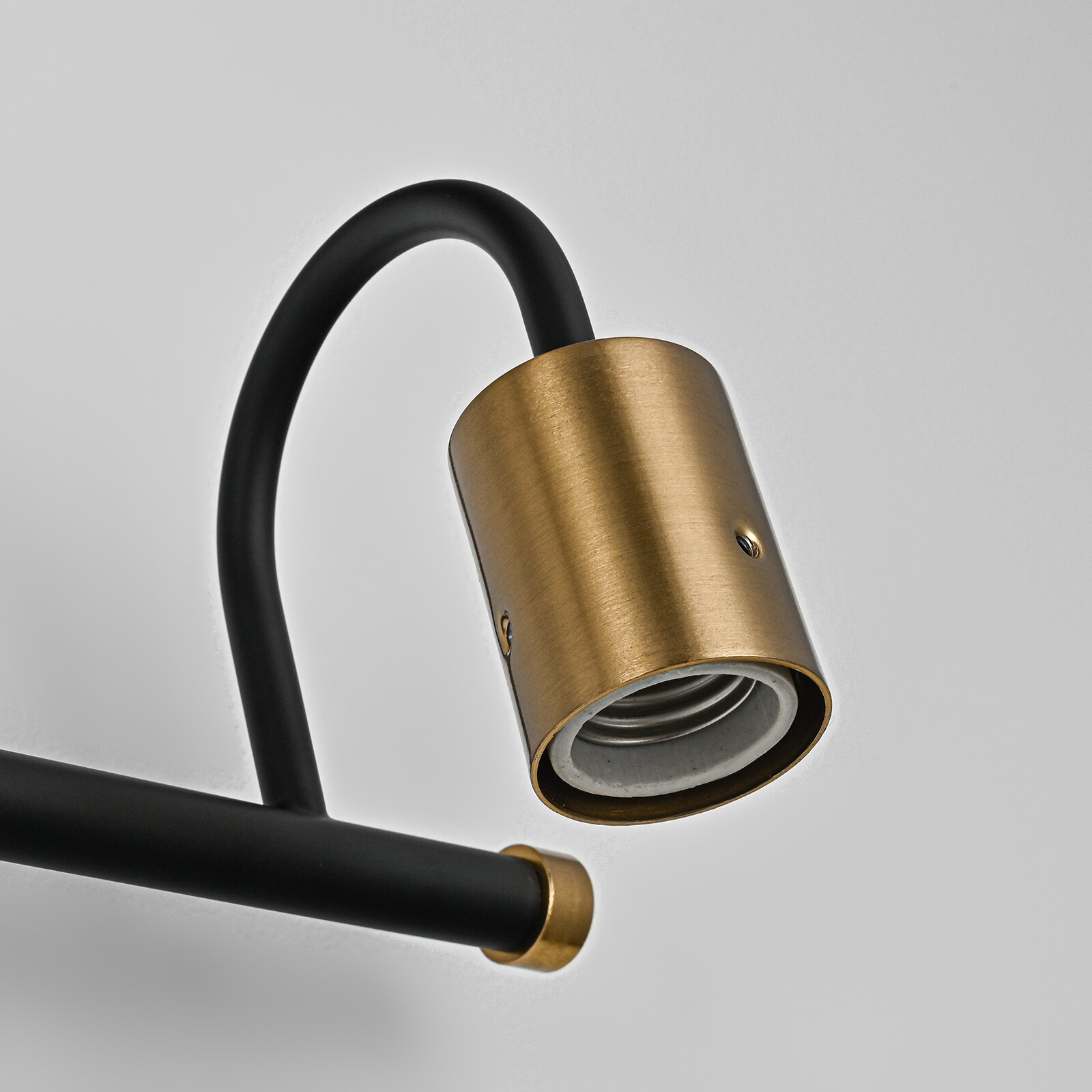 EDISLIVE Y81010000066058 b089995 - View #3