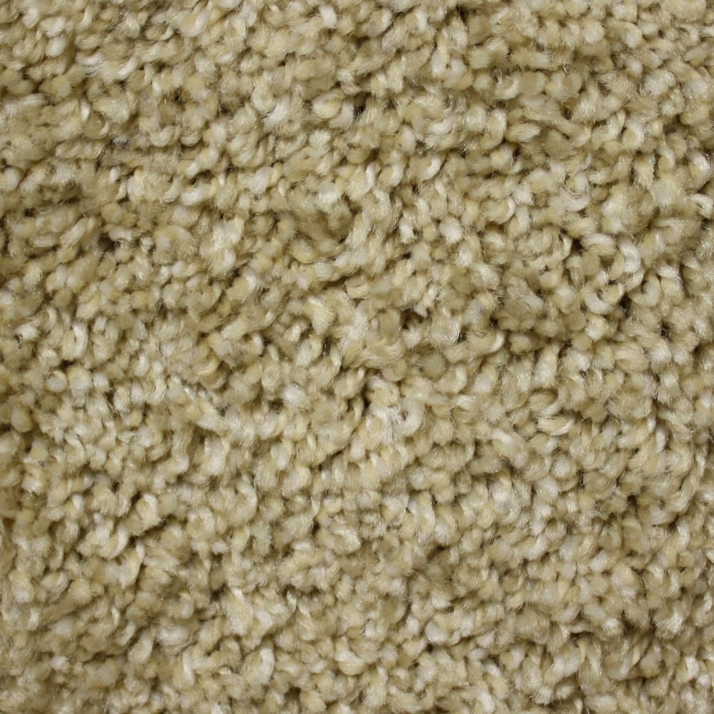 STAINMASTER FB029-308-1200-AB Marl Little Sandy Brown 29.0-oz sq yard Polyester Textured Indoor Carpet