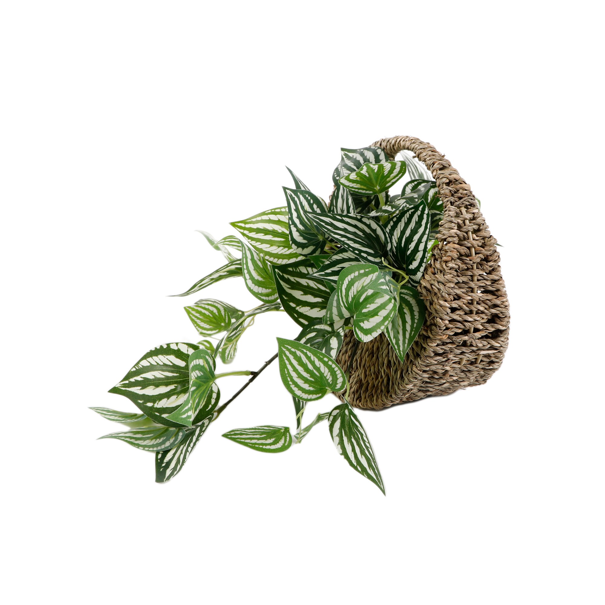 Flora Bunda CS7870E 4.4-in Natural Indoor Desktop Ivy Artificial flower