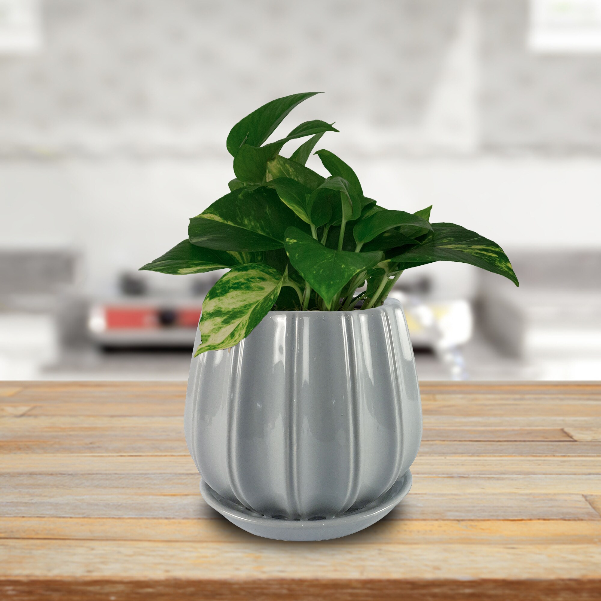 Trendspot LECR01137S-06HS Planter-Window-Box - View #2