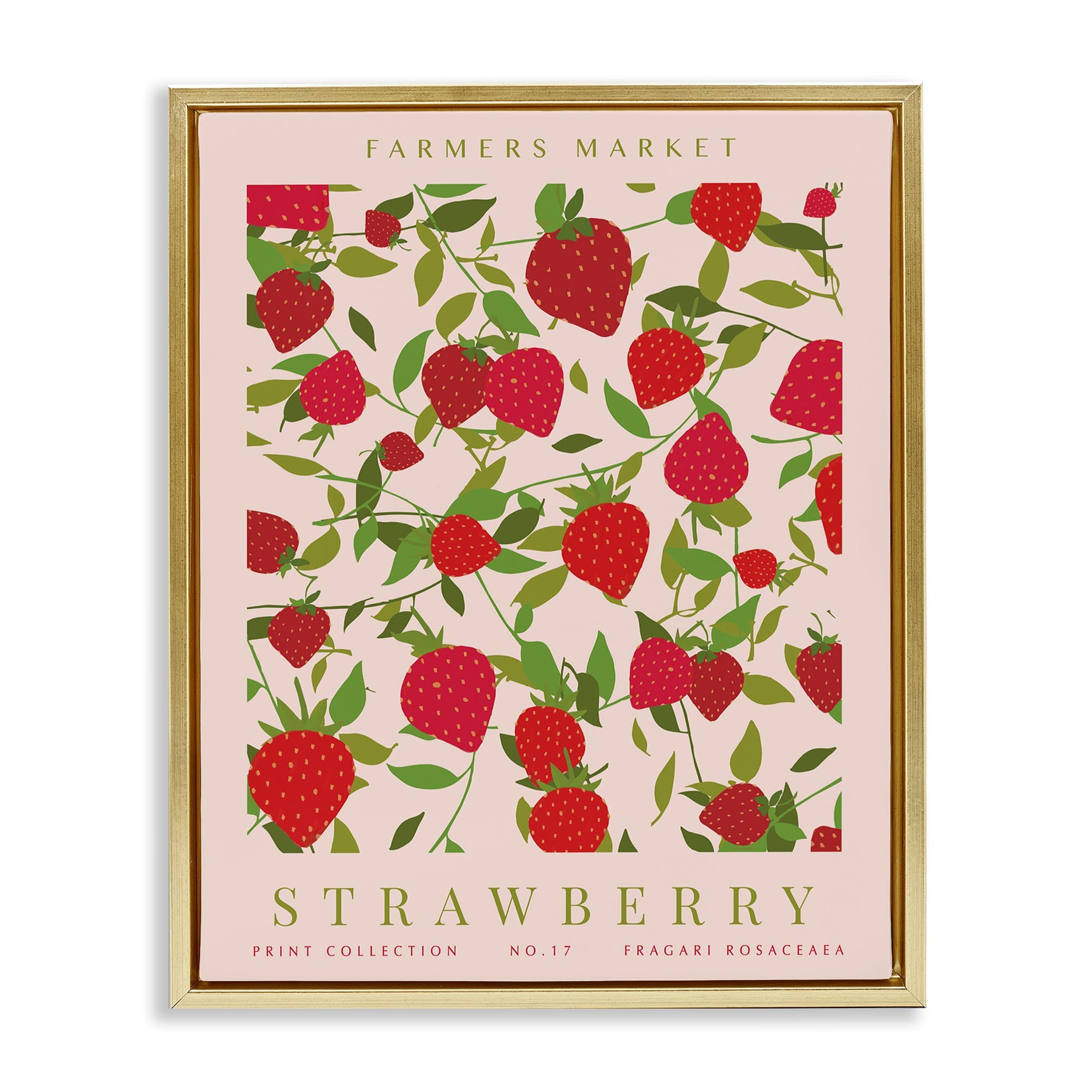 Stupell Industries BS-701-FFG-16X20 Strawberry Gallery Print Gold Framed Floater Canvas Wall Art By Kamdon Kreations 17 x 21