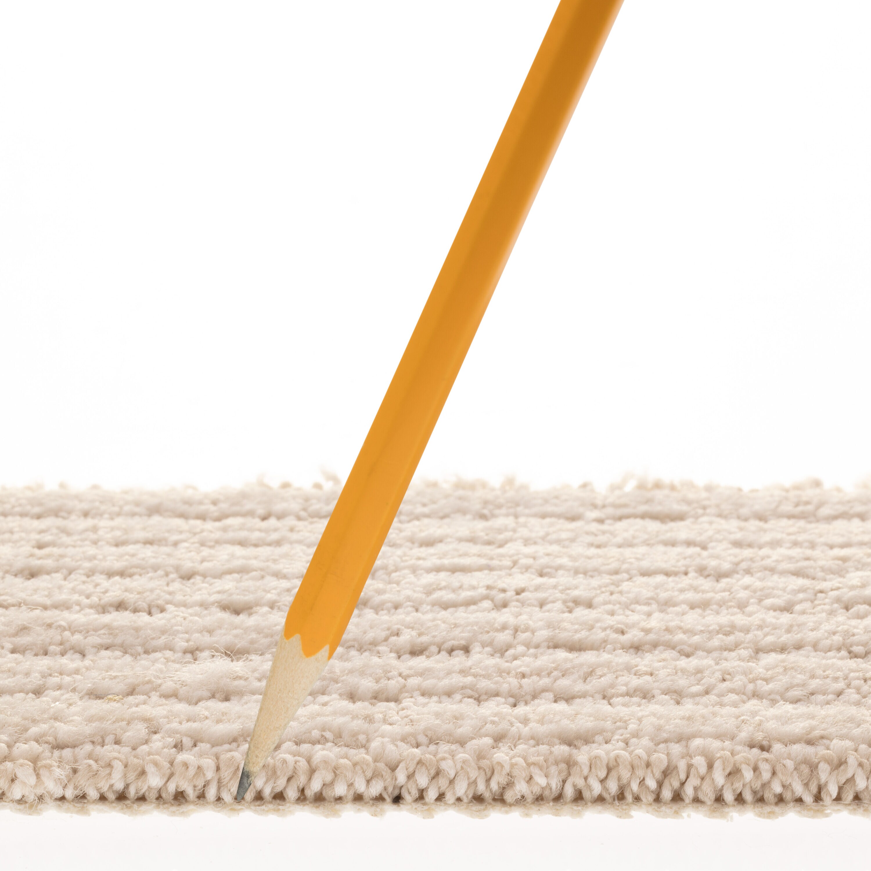 STAINMASTER PetProtect 7L885 - 103 - SAMP Carpet-Samples - View #7