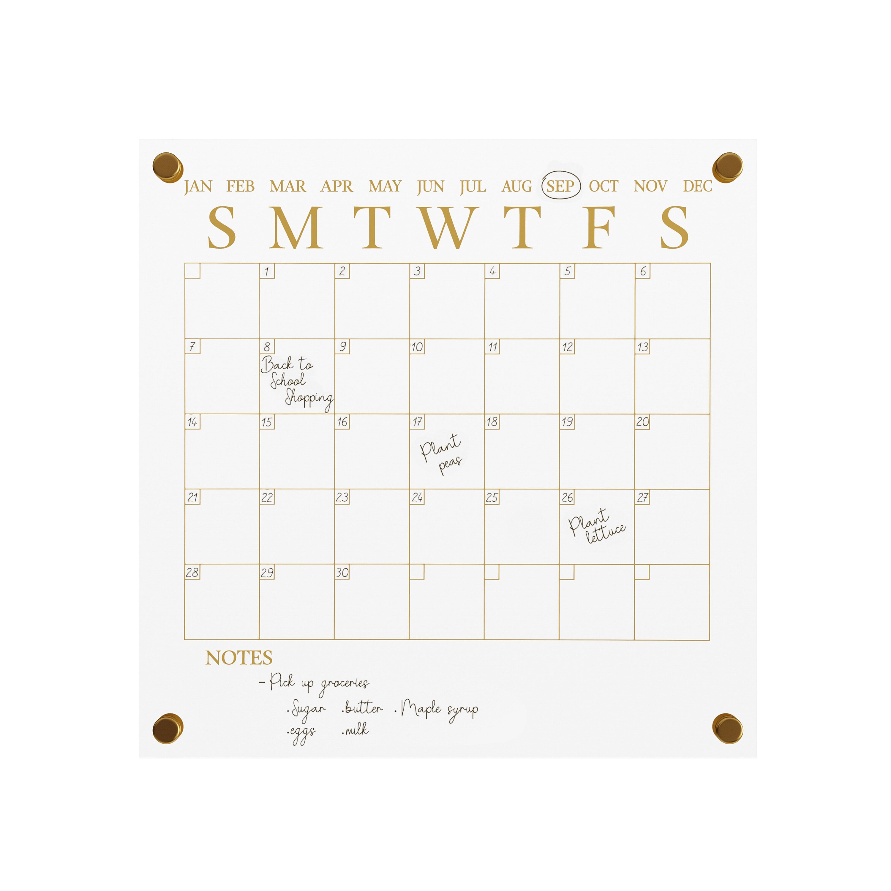 Martha Stewart Grayson Acrylic Dry Erase Wall Calendar with Dry Erase