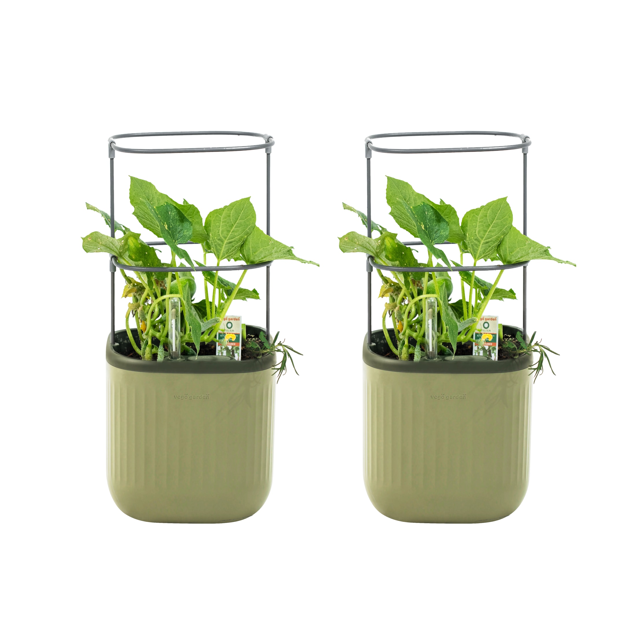 Vego Garden VPMPGN-2 2 -Pack Rectangle 7-in W Medium Green Recycled plastic Contemporary/Modern Indoor/Outdoor Planter with Drainage Holes with Self Watering