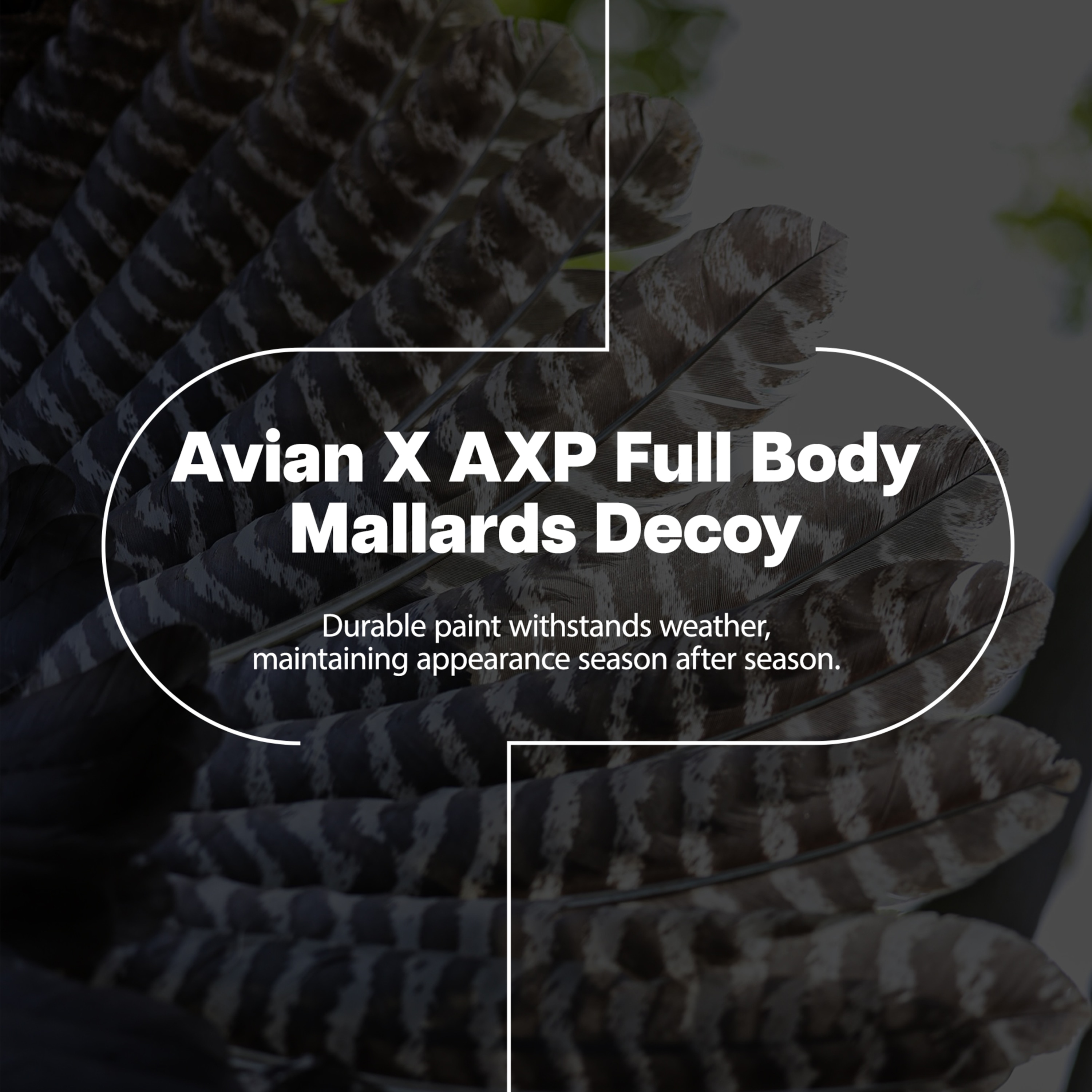  Avian X 408530 Hunting-Equipment - View #2