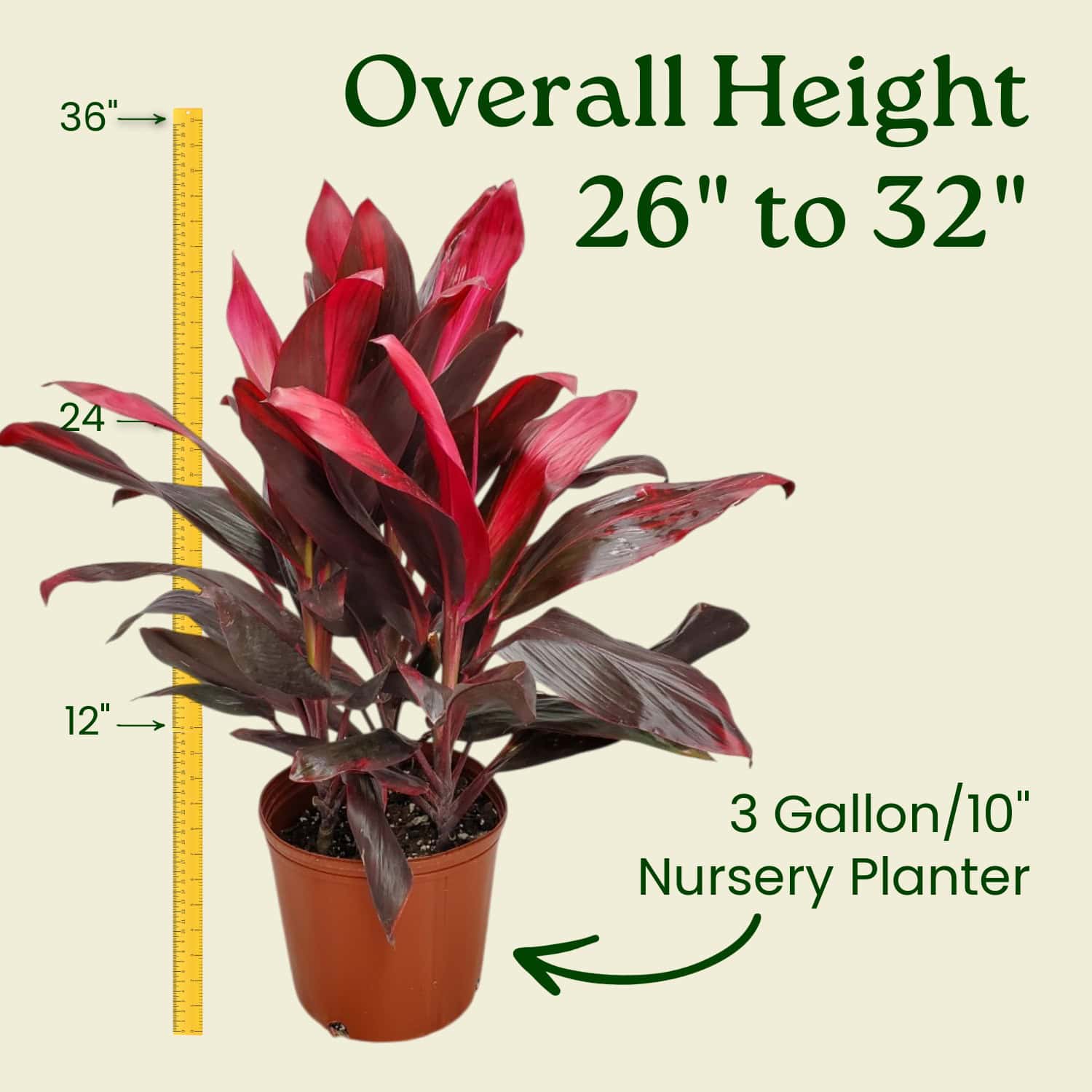 house plant light LumiTower Pro Grow Light main image 1