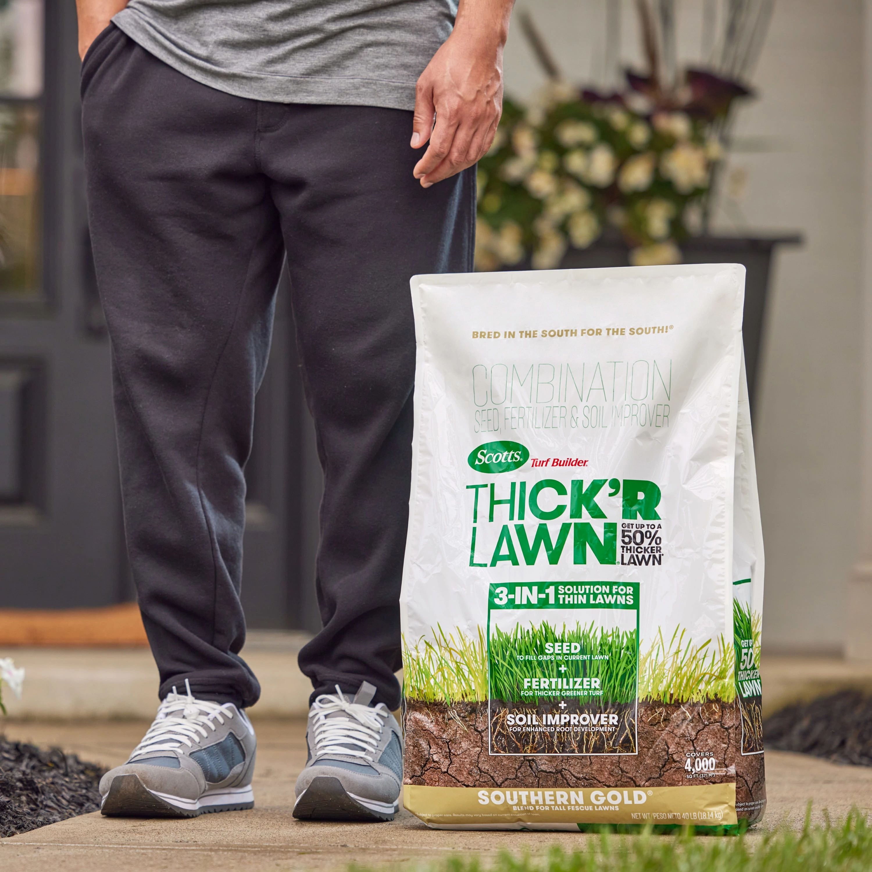 Scotts Thickr Lawn Southern Gold 12 Lb Tall Fescue Grass Seed In The Grass Seed Department At 7119