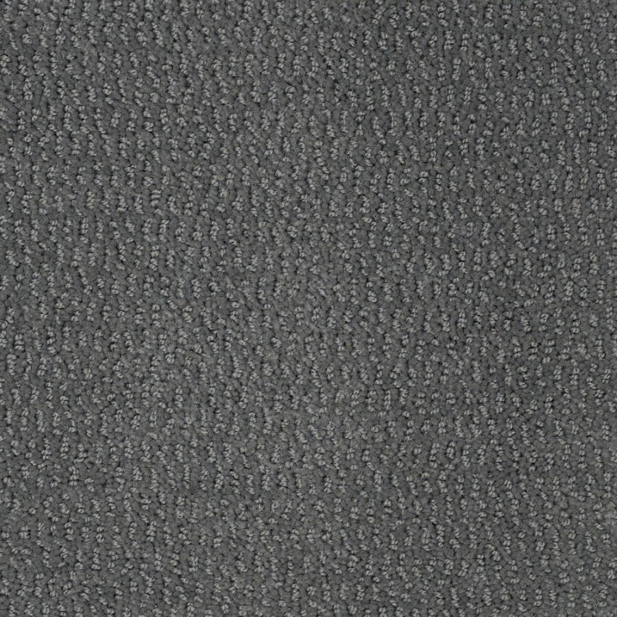STAINMASTER 7L43500445 Active Family Wine and Dine Tropical Lagoon Berber/Loop Interior Carpet