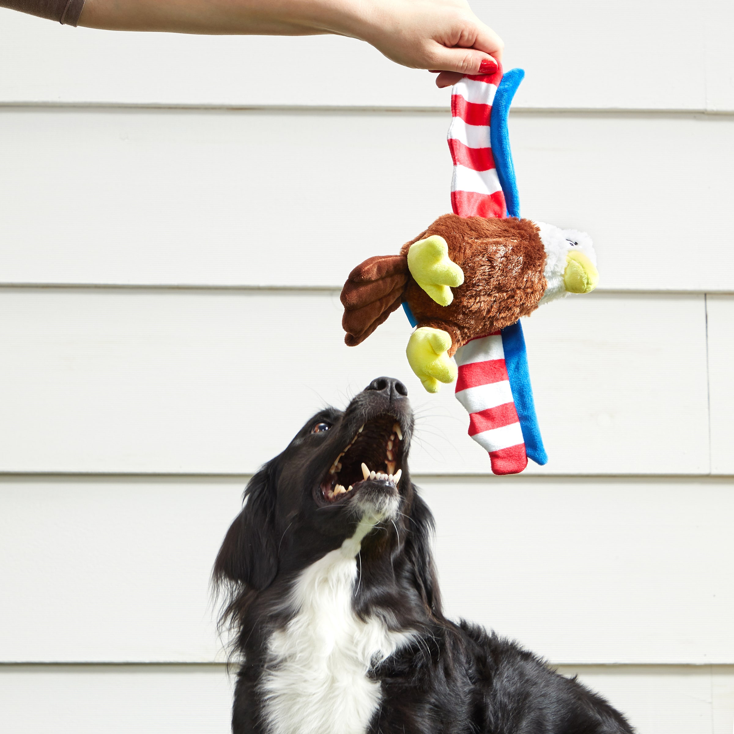 BARK 3782345 Dog-Toys - View #4