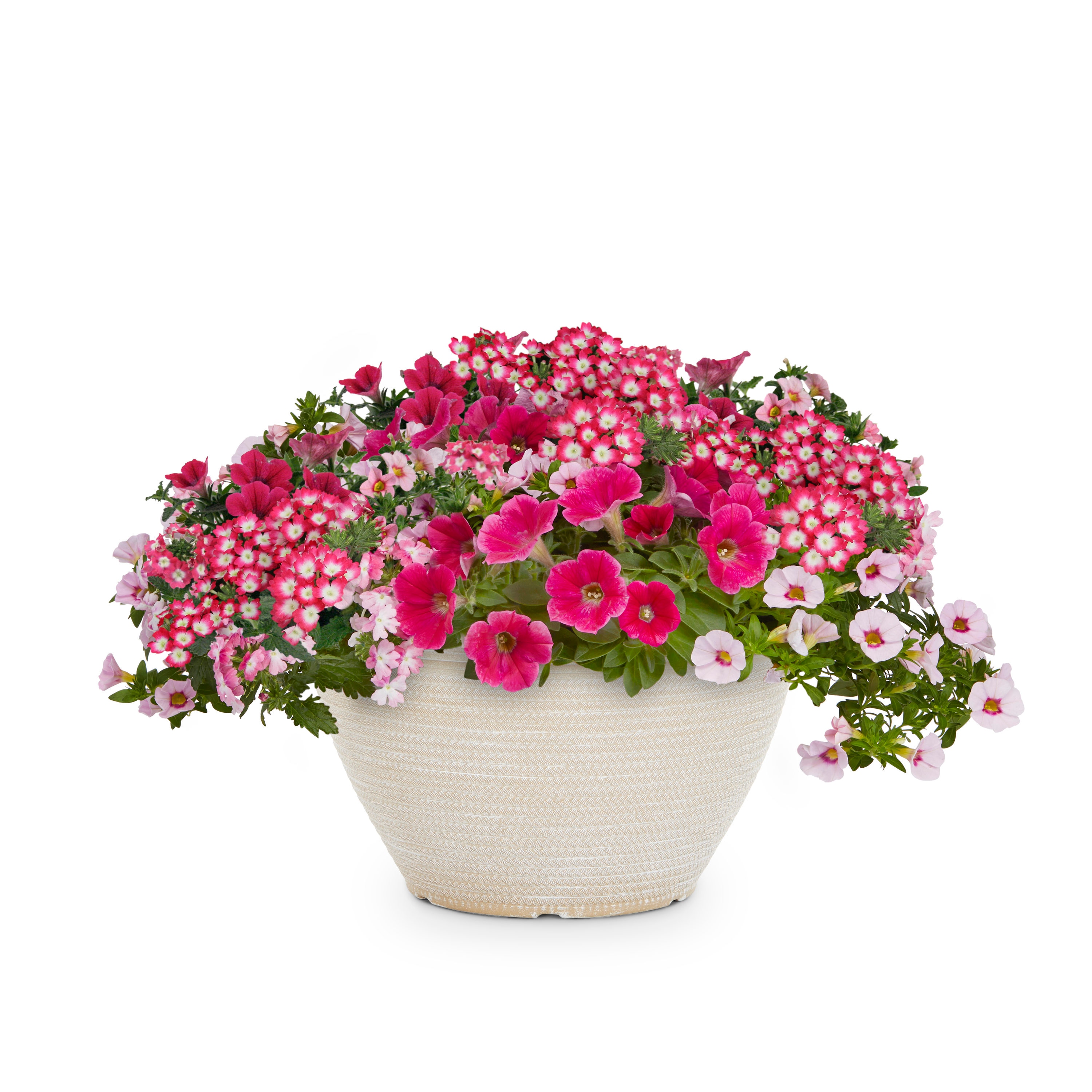 Lowe's NURSERY Multicolor Mixed Annuals Combinations in Gallon(s) Planter